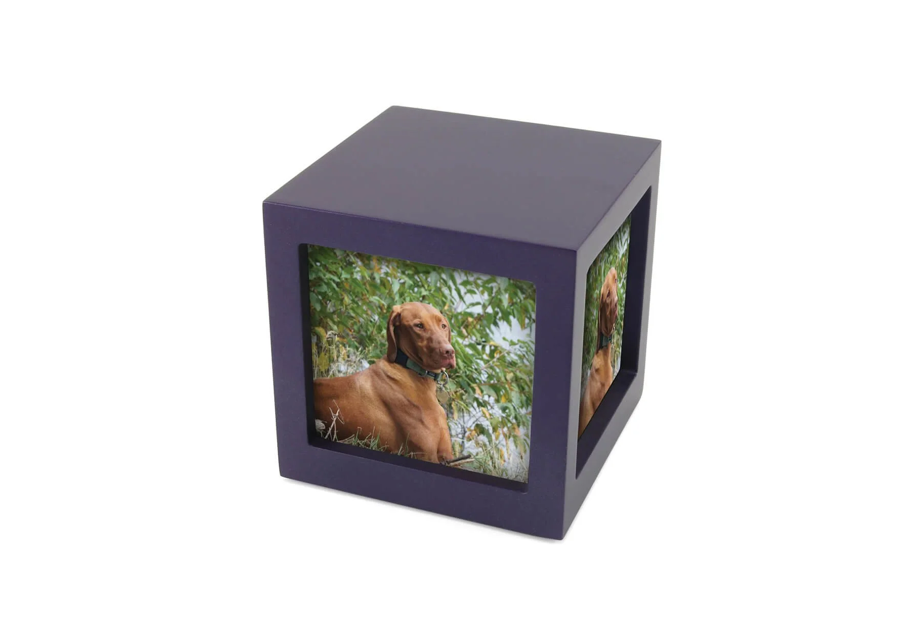 Violet photo cube urn for pets with three photo slots and custom engraving option.