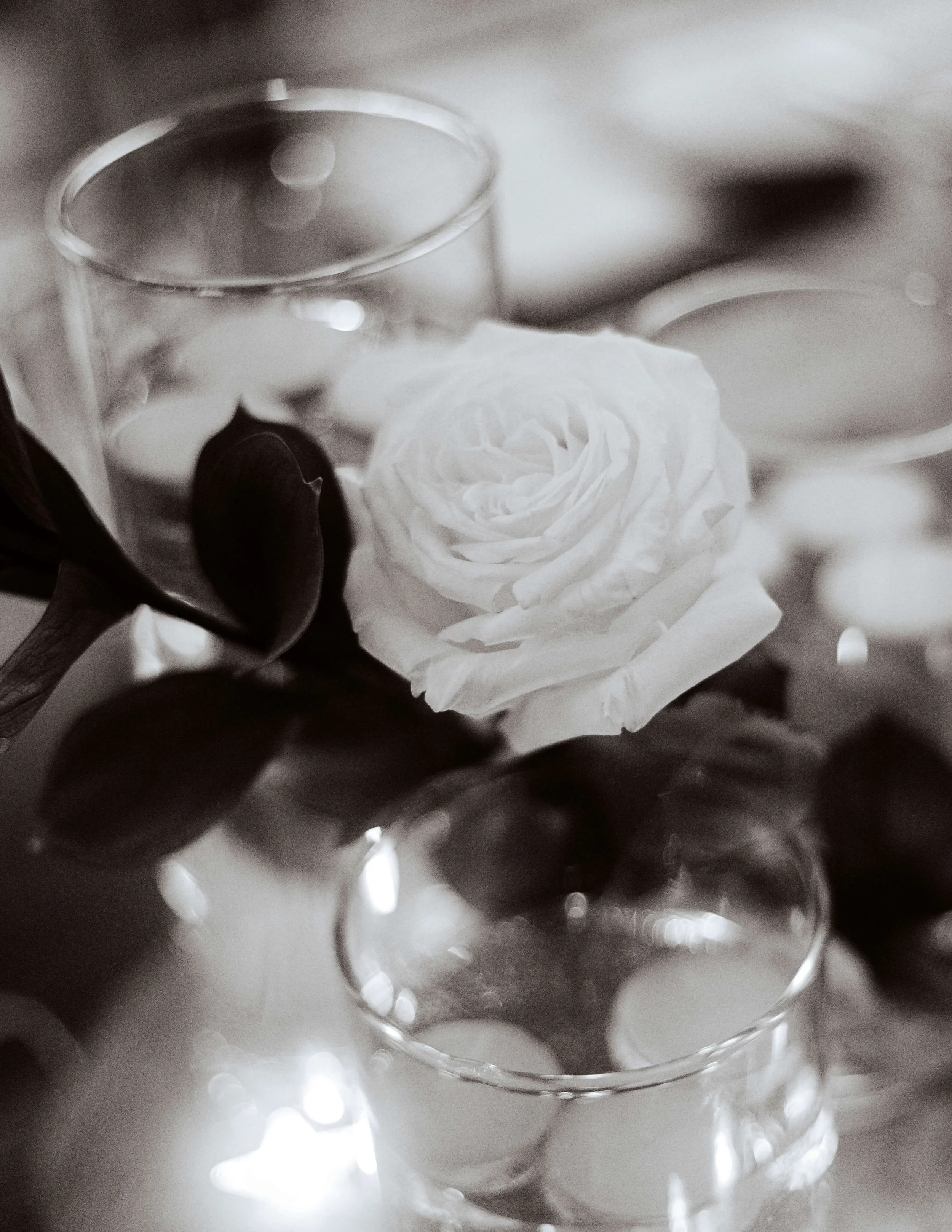 Photo noir et blanc d'une rose blanche sur une table en gros plan