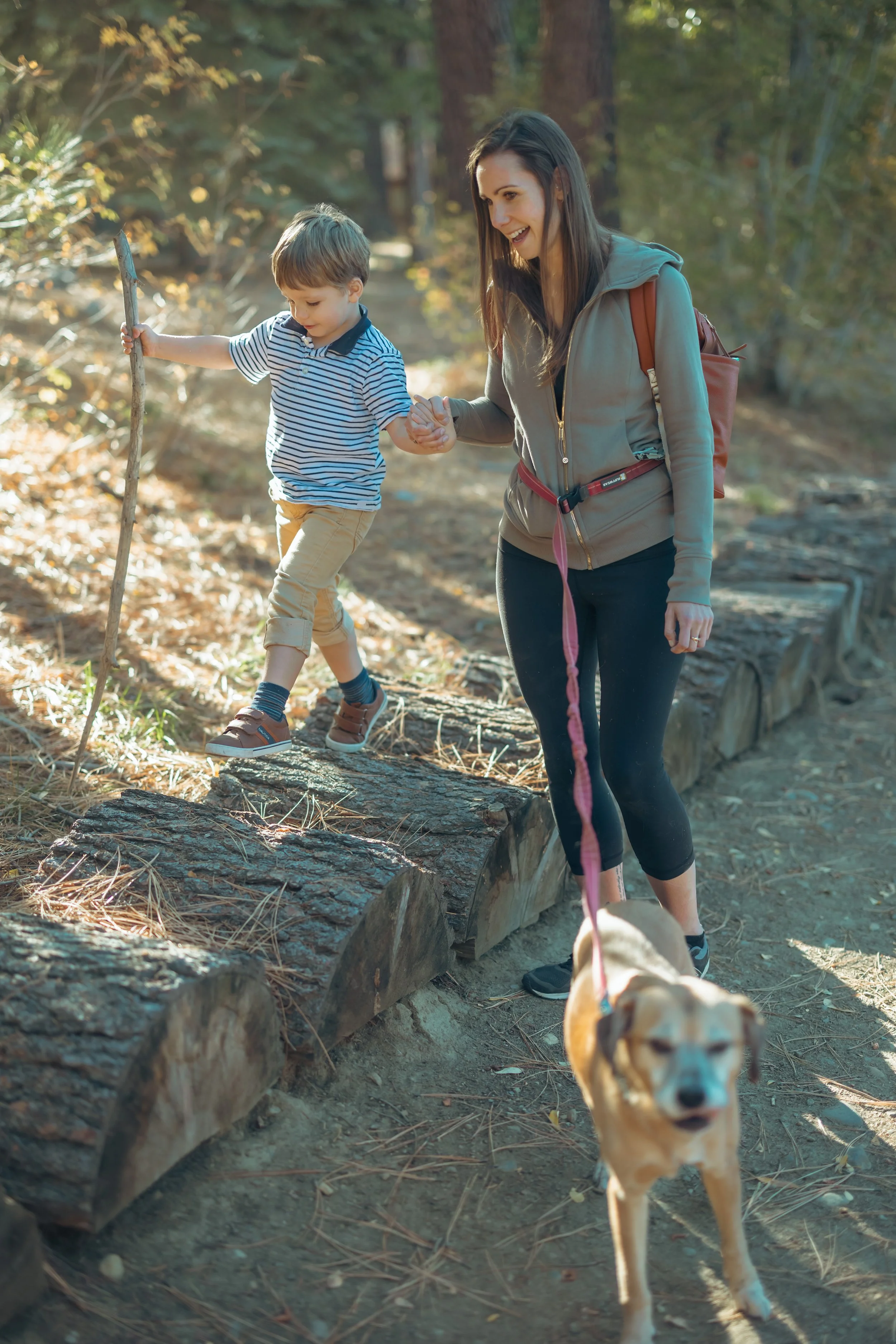A woman helping a young boy walk across logs on a forest trail while holding his hand, accompanied by a dog on a leash.