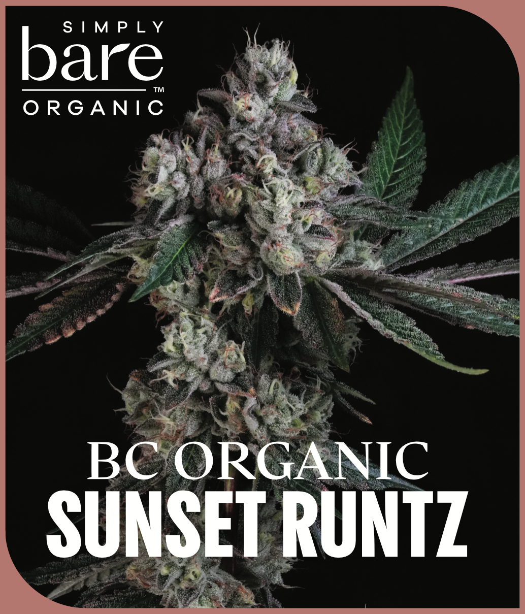 Screenshot 2025-12-04 at 11.50.36 AM.png