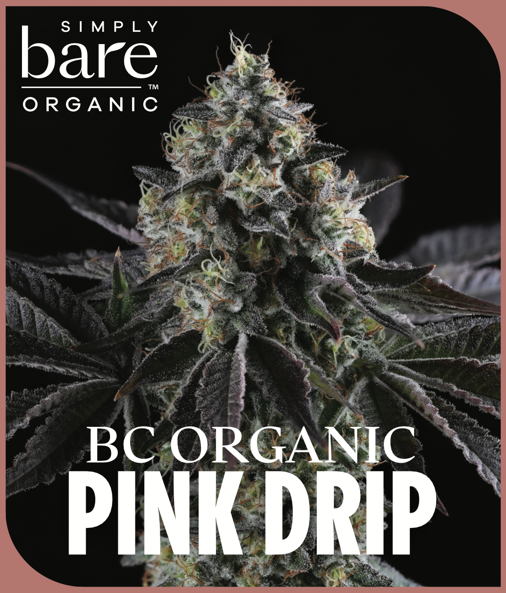 Screenshot 2025-12-04 at 11.50.24 AM.png