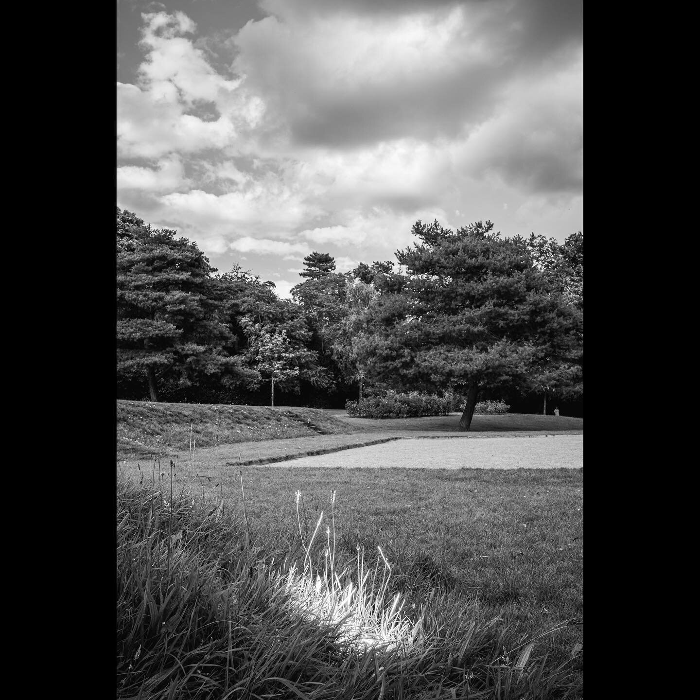 GRASS
&bull;
&bull;
&bull;
#grass #nature #london #urbanadventures #abstract #monochrome #blackandwhite #ricoh #ricohgr3 #grsnaps #flashphotography #lightpixlabs #adventuresinmonochrome #monochroman