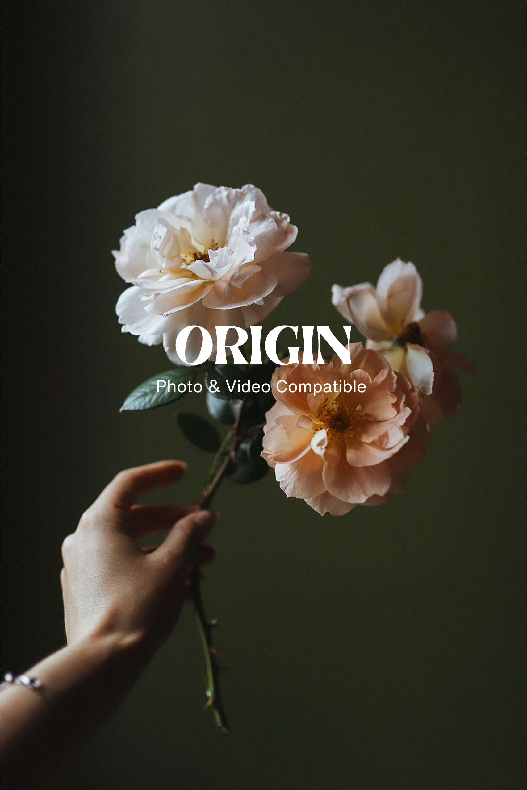 Origin Collection