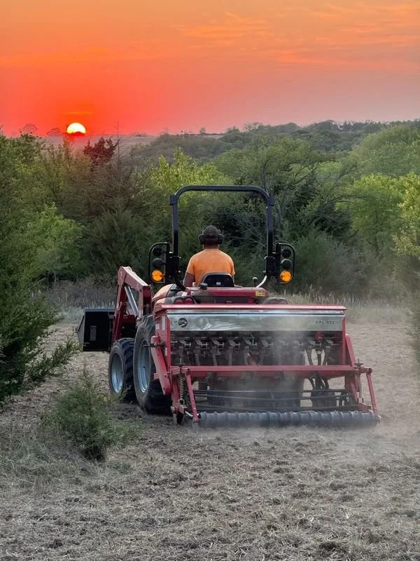 A person operating a red tractor at sunset planting a food plot.