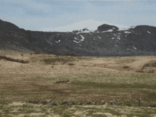 Balance and Composure - animated music videos