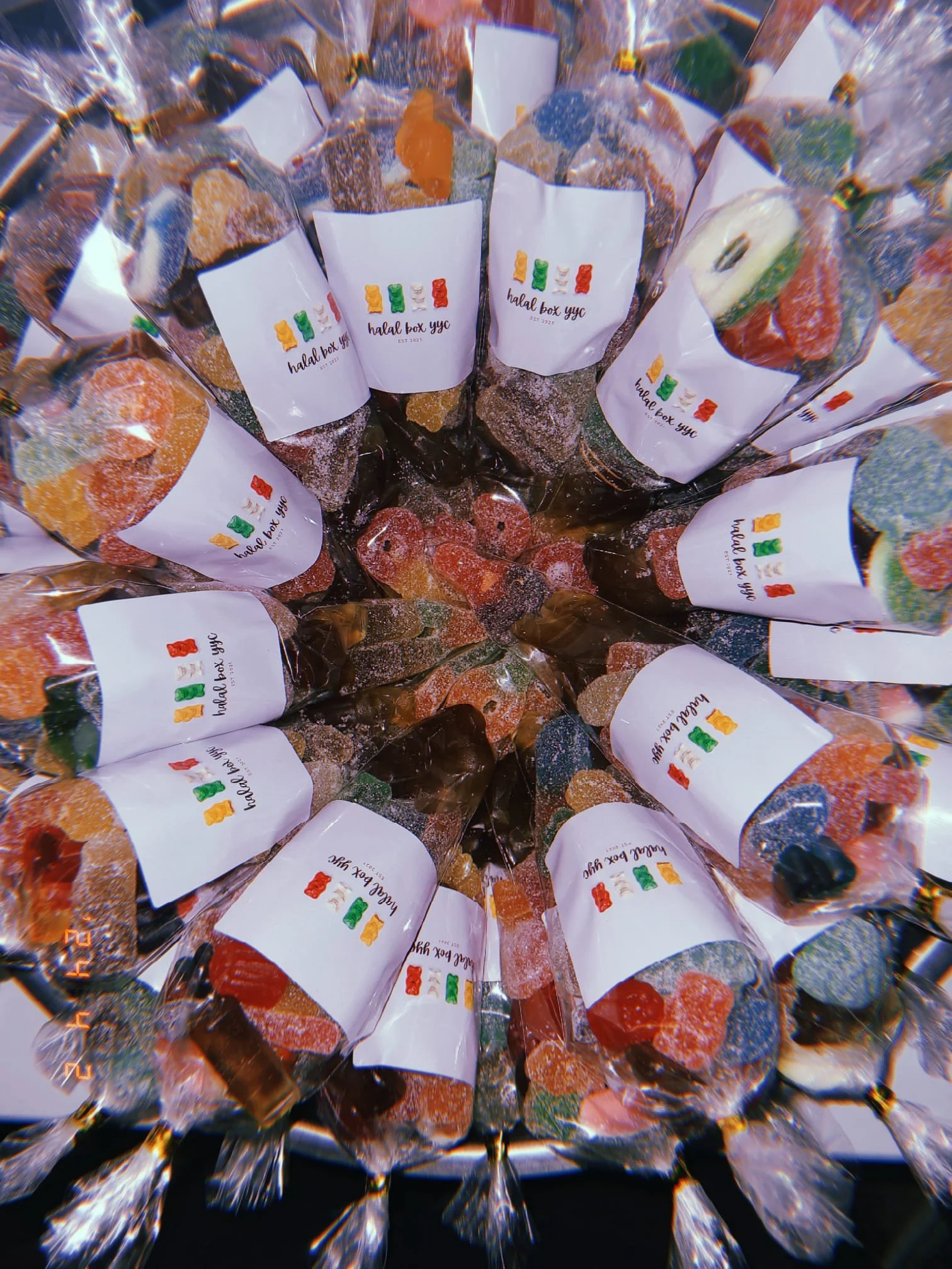 WhatsApp Image 2026-01-04 at 2.59.15 PM.jpeg