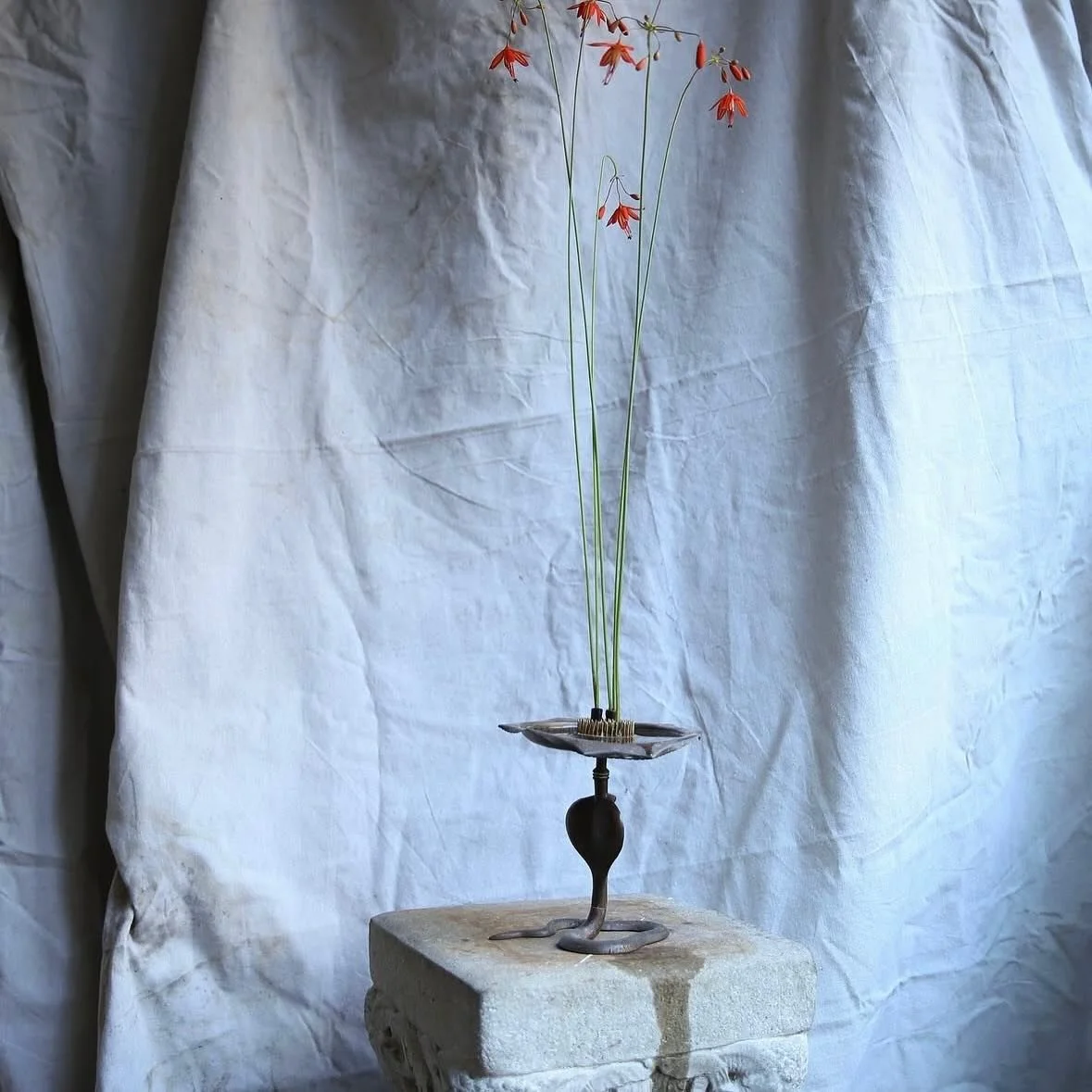 With Valentines looming, florals are top of mind.  Here are 5 floral designers to follow for inspo for your next shoot.  Toss those tired hydrangeas out the door and opt IN for something more fun. Photo 1:  @emilythompsonflowers You&rsquo;ll get lost