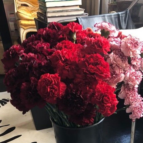 Carnations for the win on #galentines.  Chic, cheap and cheerful.