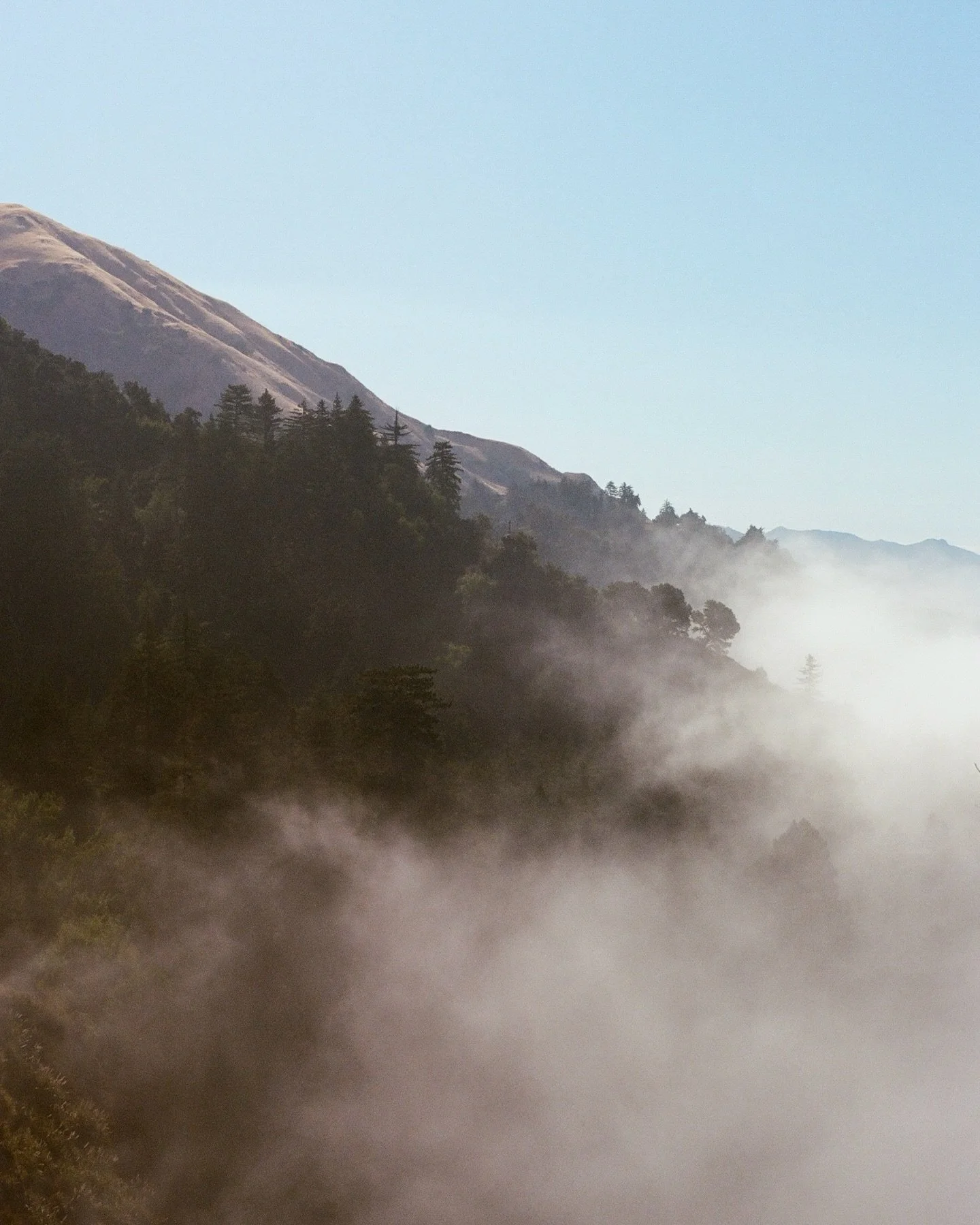 ventana wilderness, los padres national forest // 2025