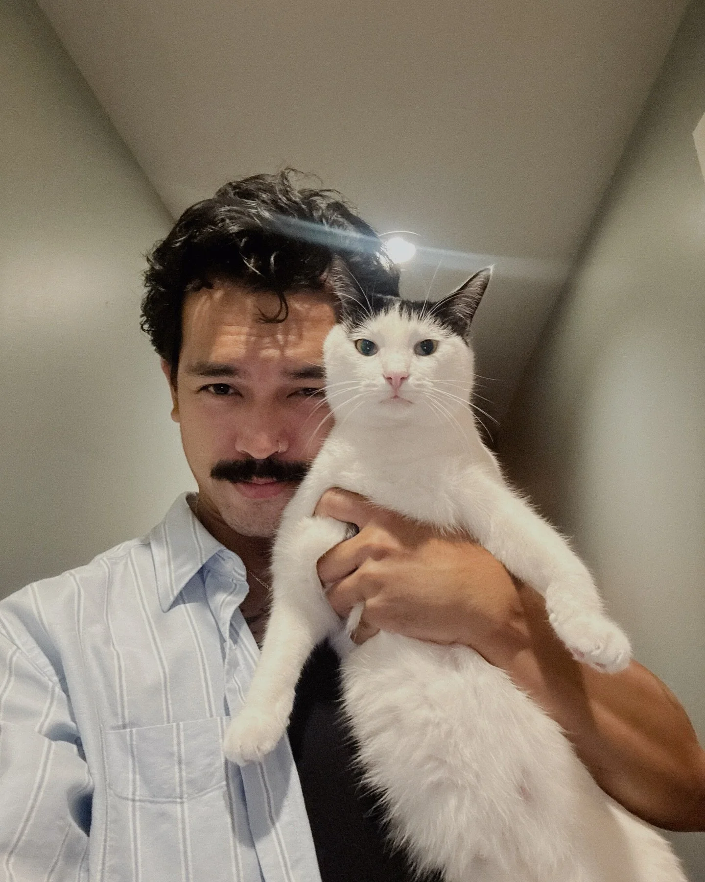 happy three years with my baby beau. beauregard. bobo. bobollini. bombolone. beau-ey.