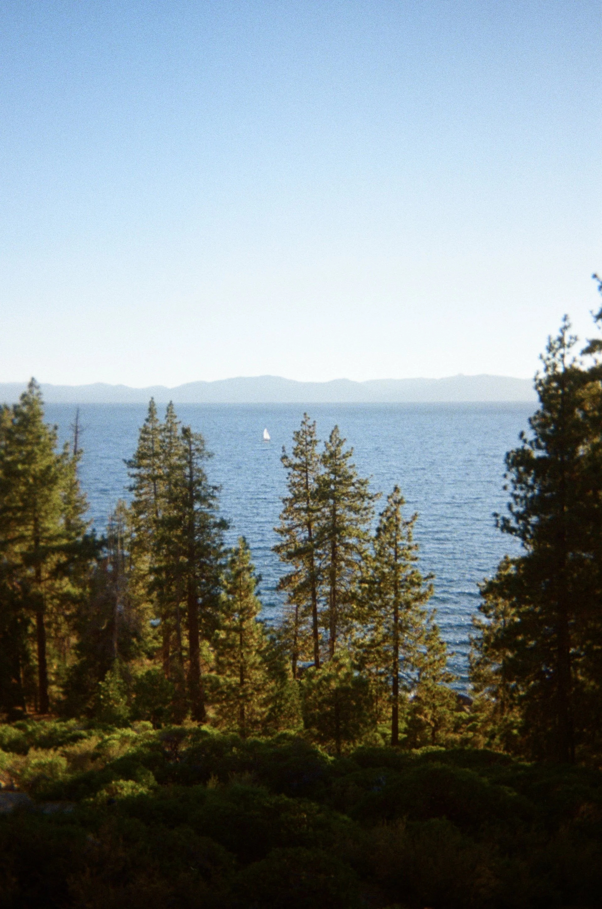 IMG_7389.jpg