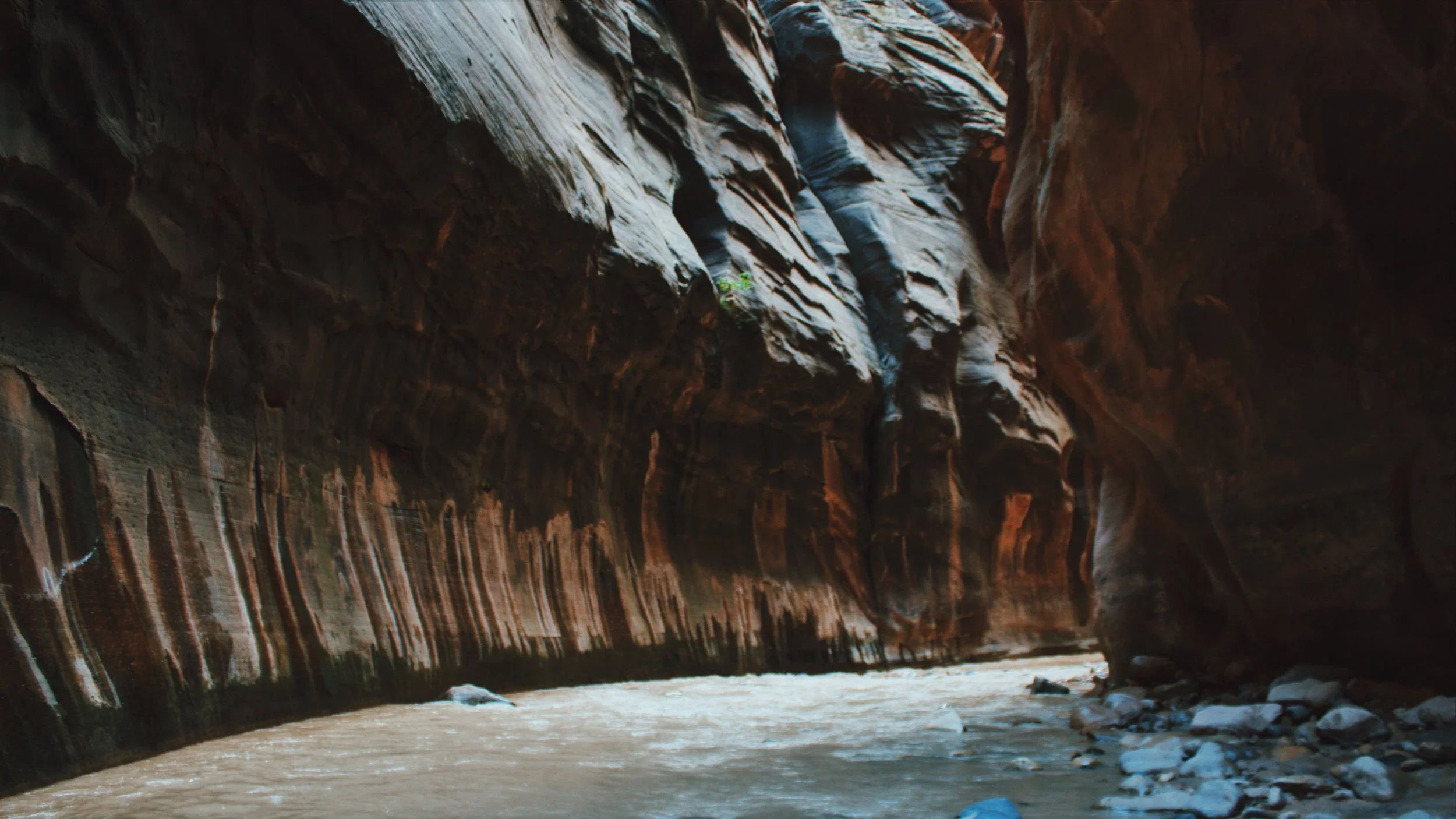 zion-3.jpg