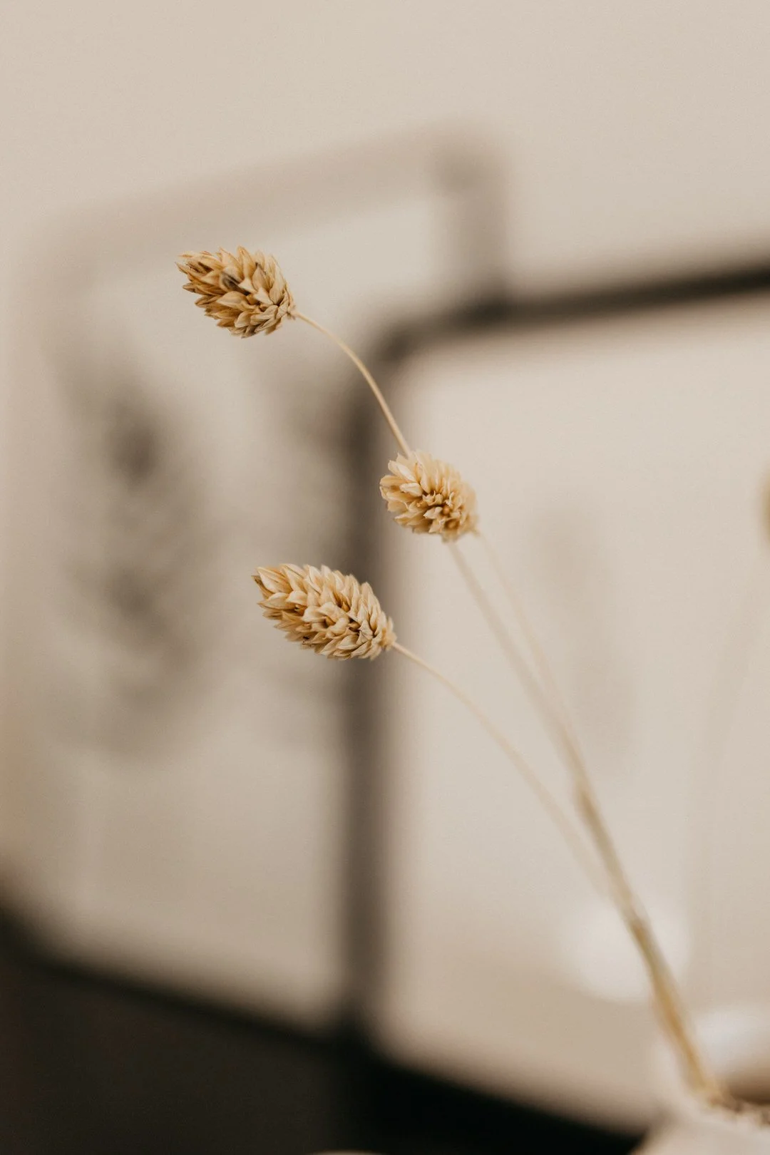 sabrina_zanella_fotografie_thun_branding-151.jpg