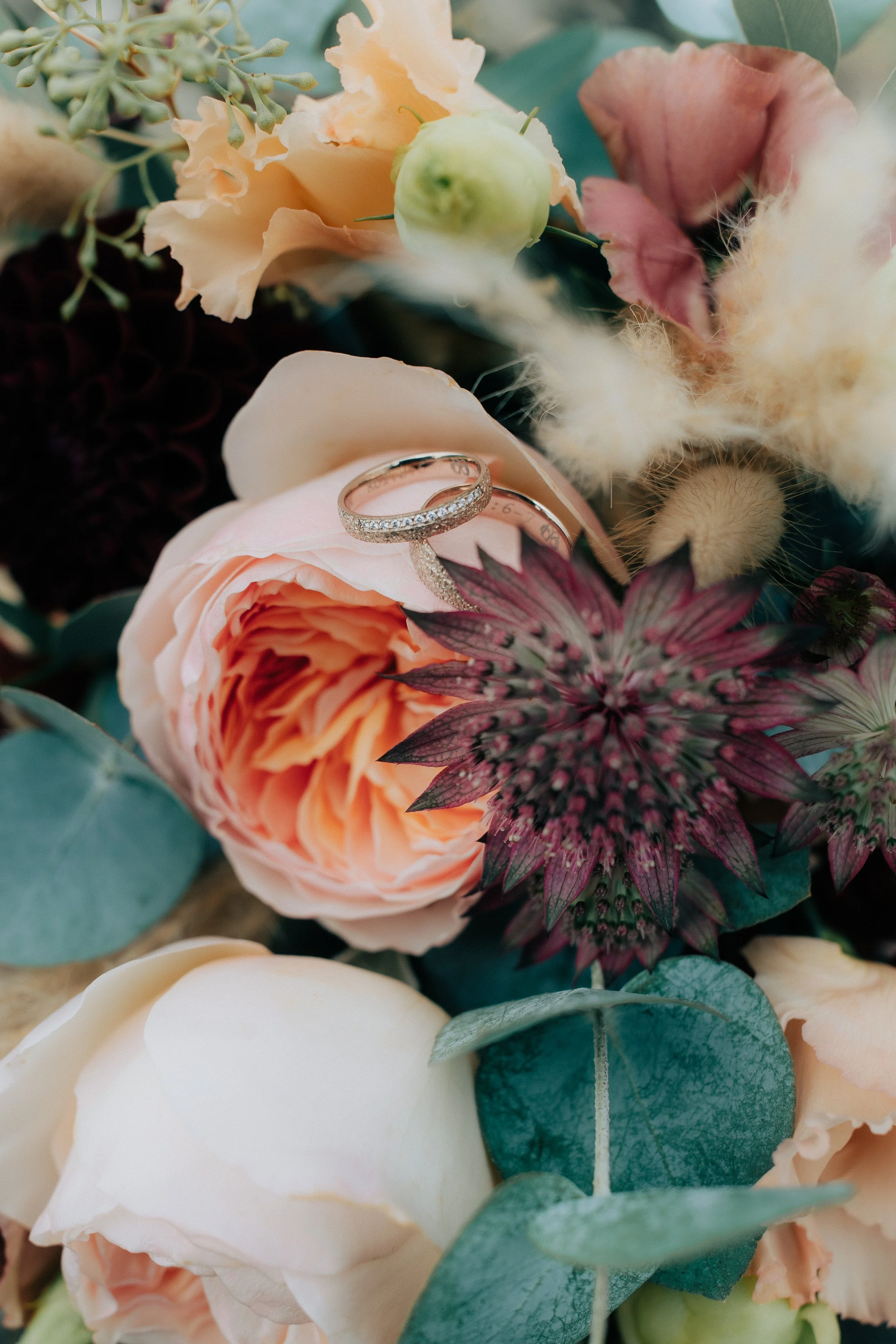 Jamina Janis-109.jpg