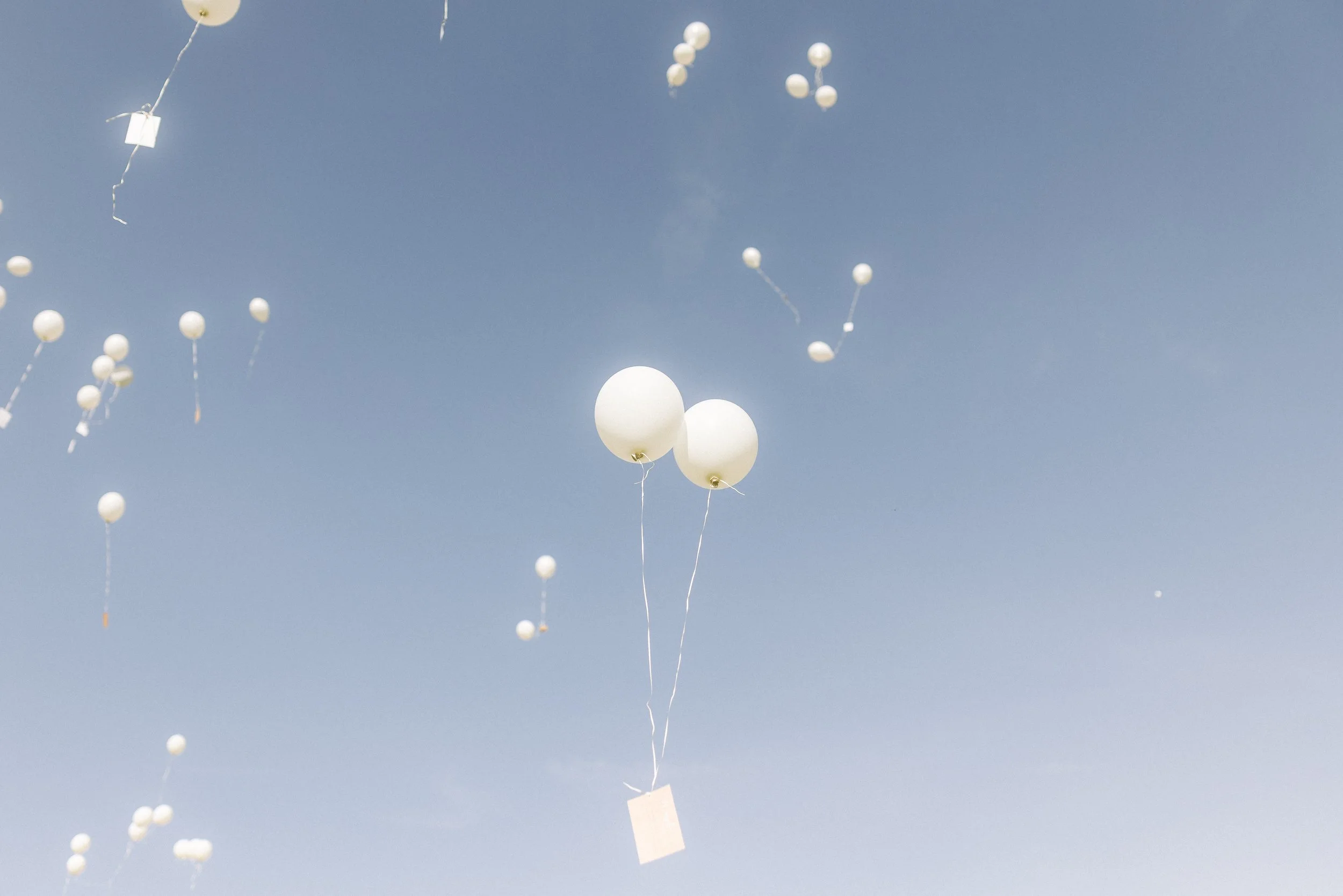 Jasmin Steve-497.jpg