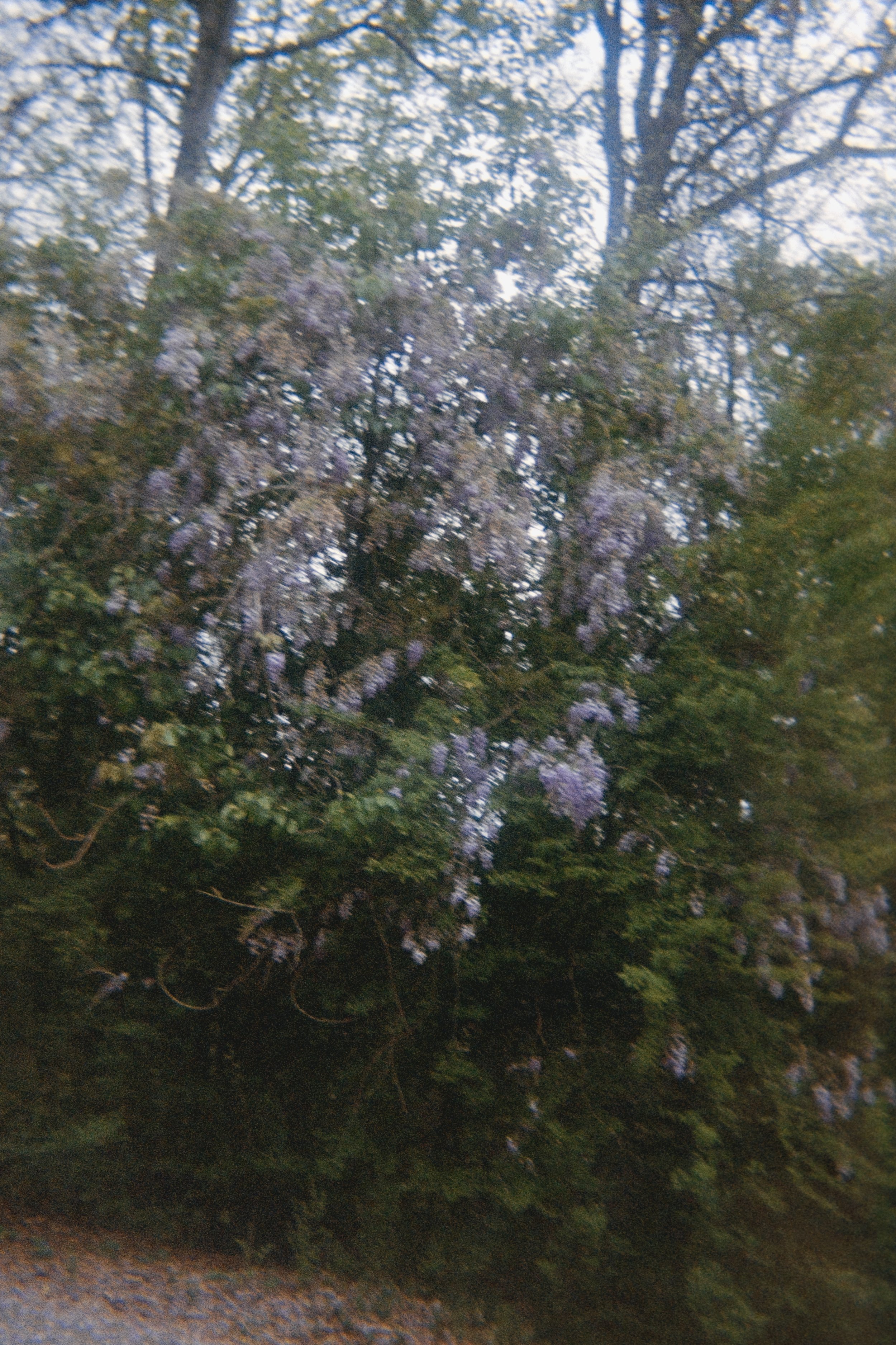 roll2-disposable-4.jpg
