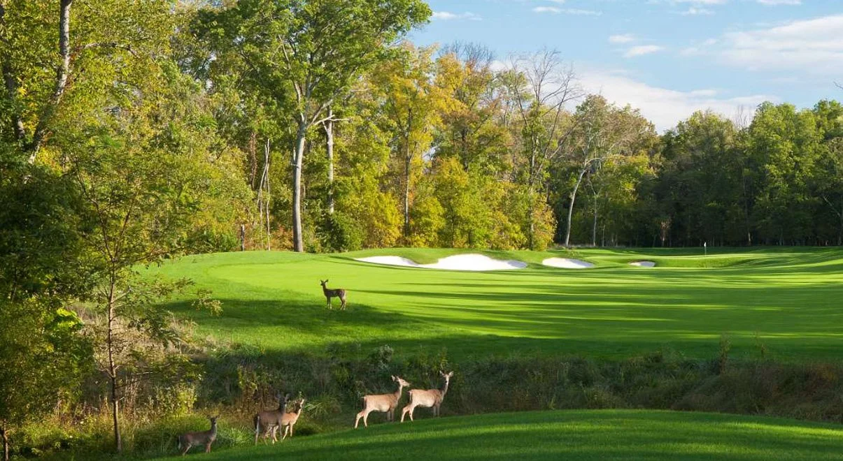 The 3rd Annual MC-LEF National Golf Outing&nbsp;