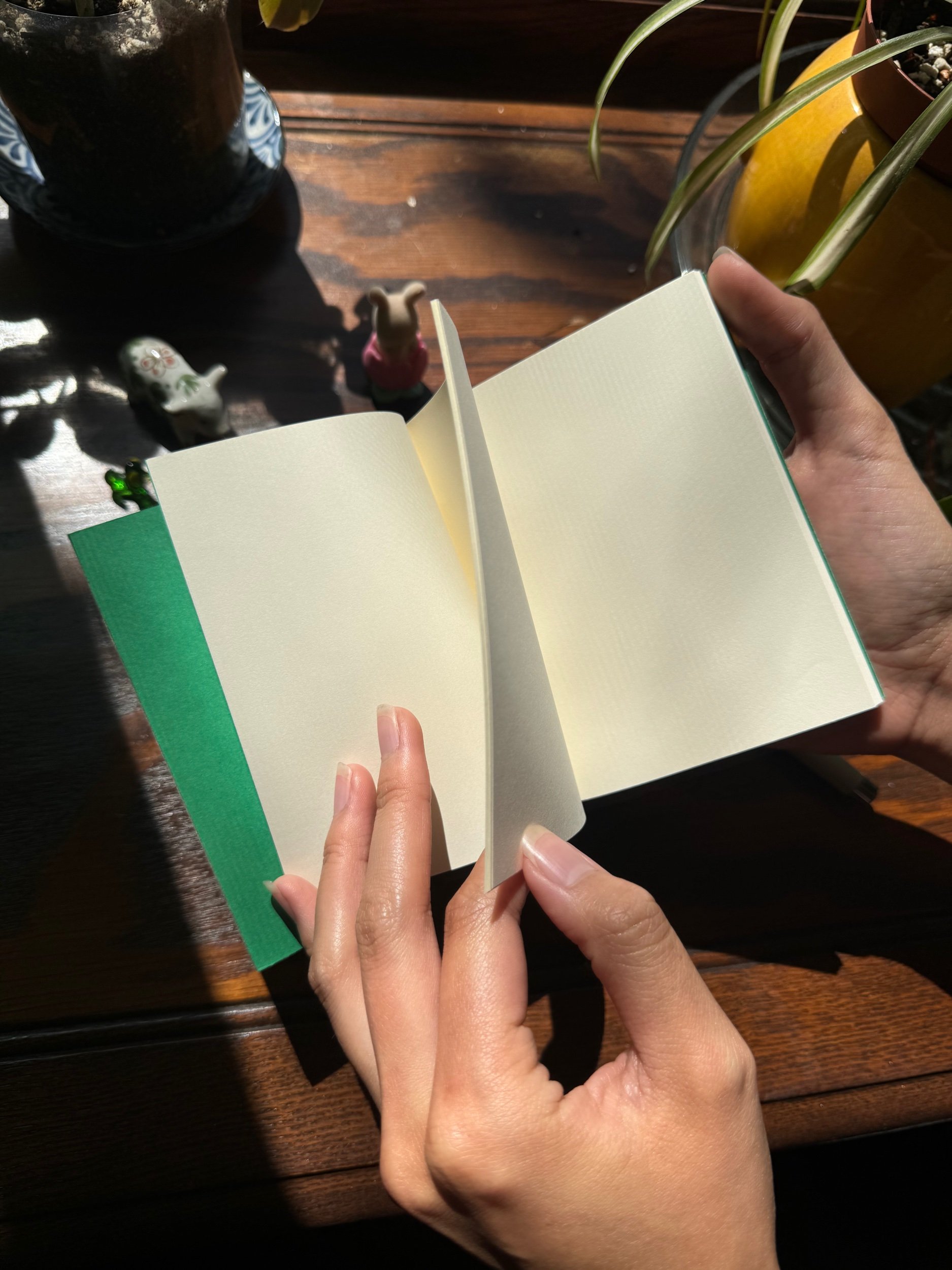 3D03E1BE-6D41-40F8-9775-E01F60D38451.jpeg