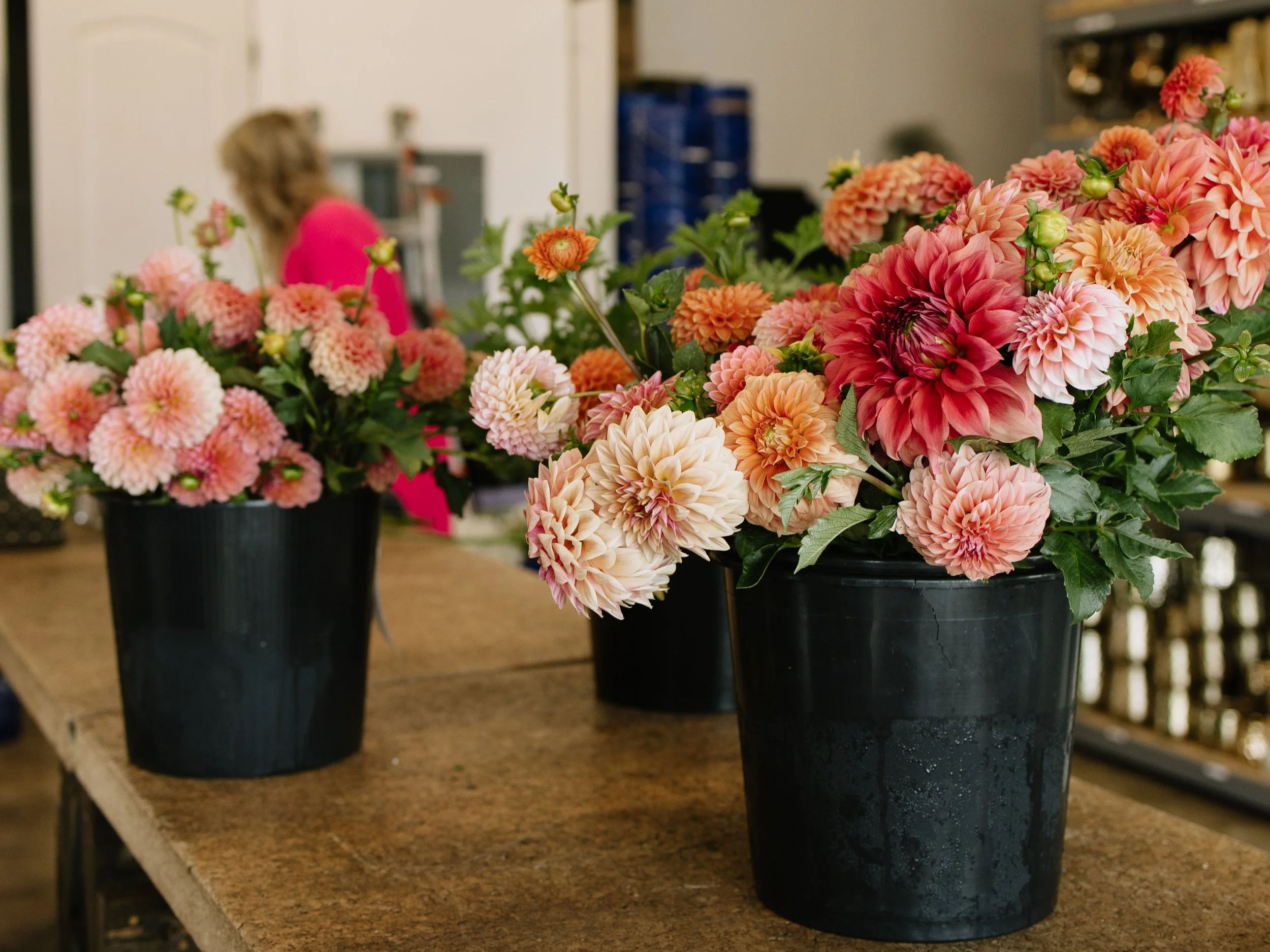 Two black pots filled with pink, peach, and orange dahlias placed on a wooden table in an indoor setting.
