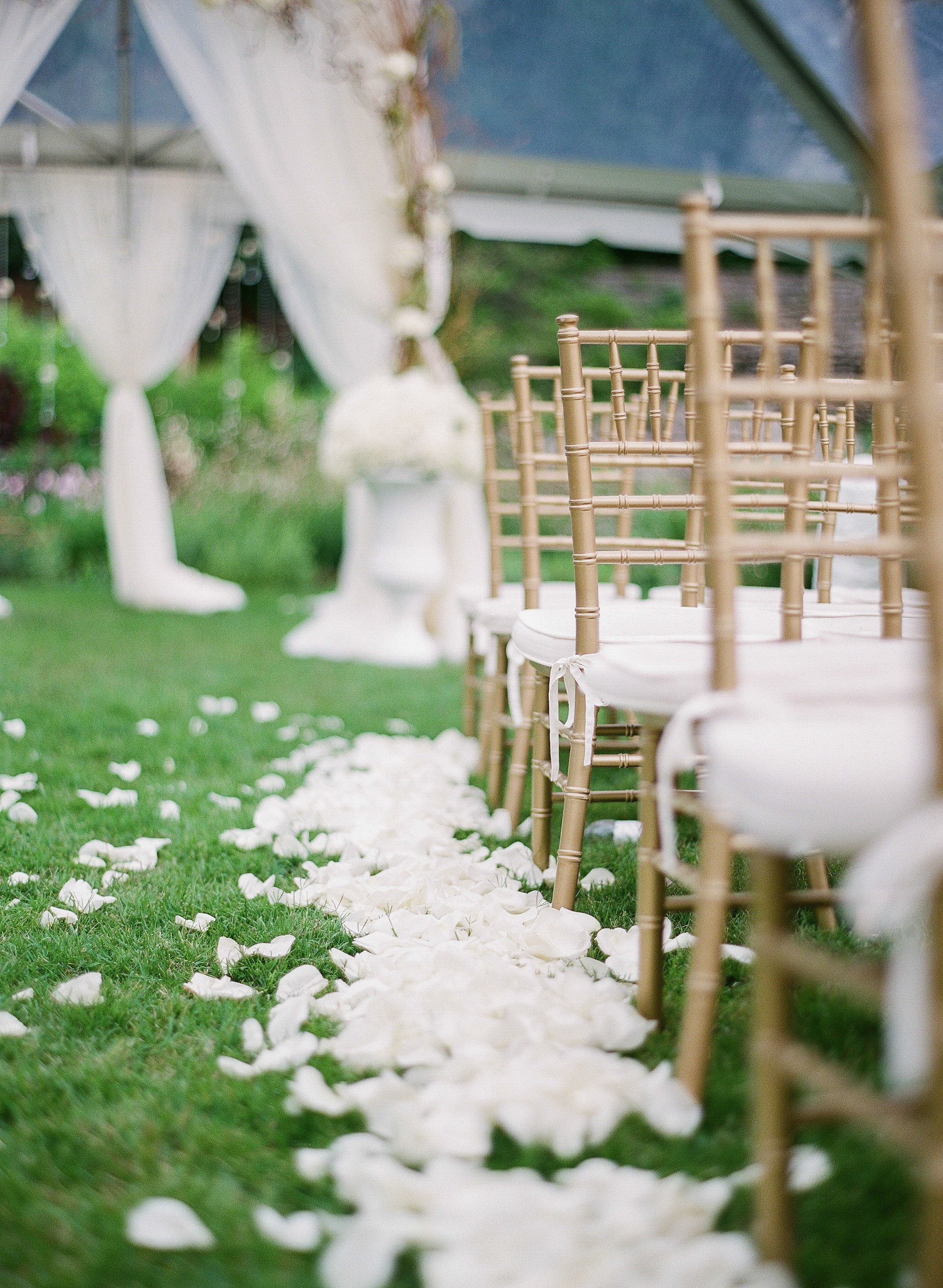 á La Carte Ivory Rose Petals