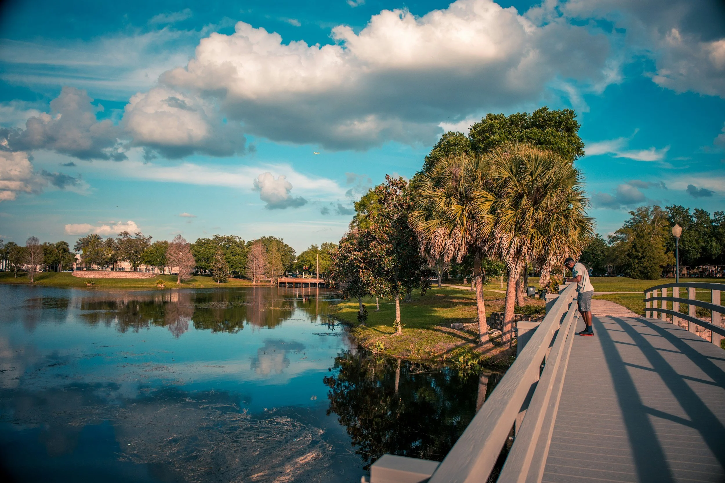 A person stands on a curved bridge overlooking a calm lake, surrounded by lush green trees and palm trees under a blue sky with scattered clouds. The scene is peaceful and brightly lit by the sun.