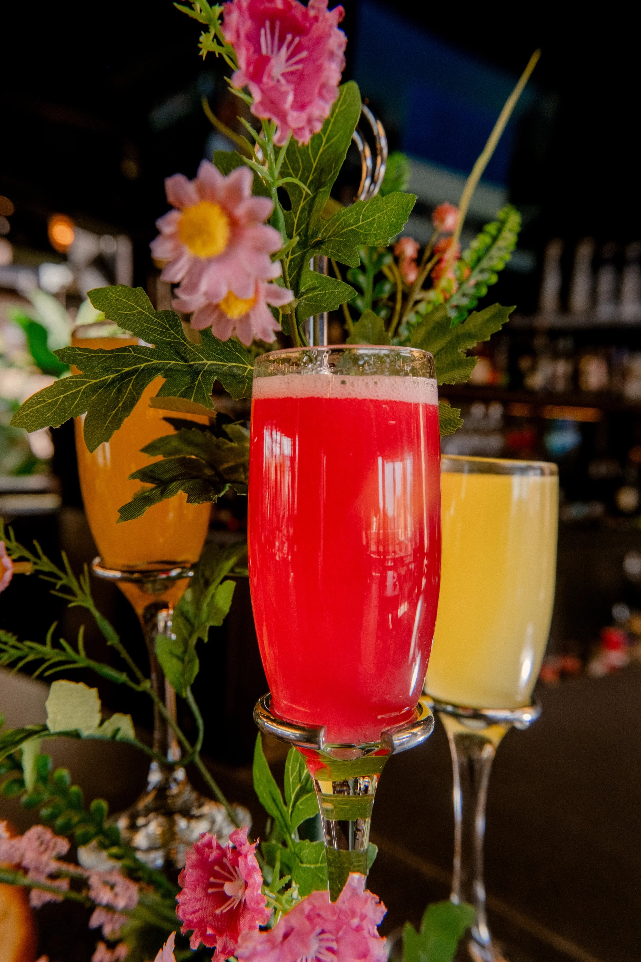 mimosa trio