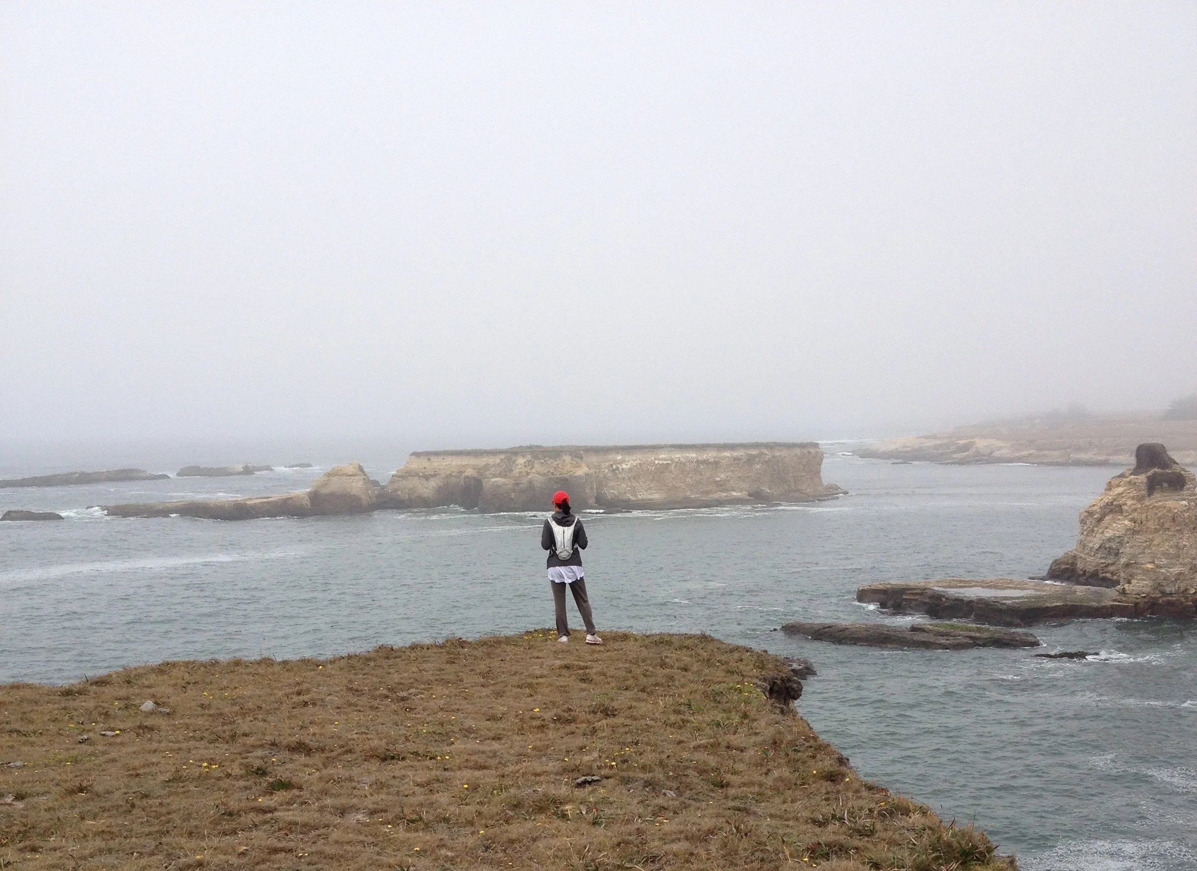 CONTEMPLATION AND MEDITATION CAN LEAD TO PEACE