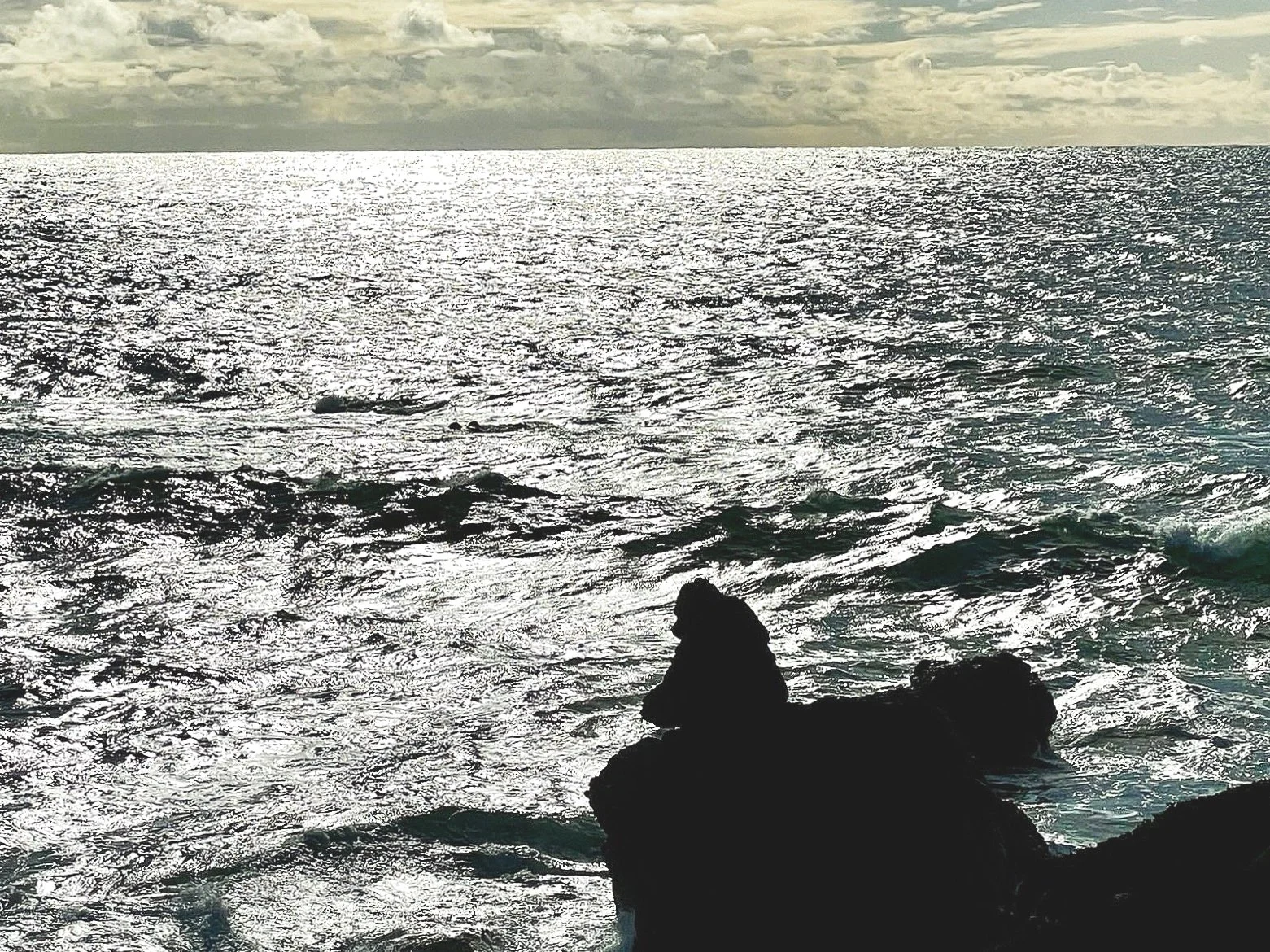 COLLABORATIVE INTROSDPECTION AND STRATEGIC PLANNING INTEGRATES OUR SELVES