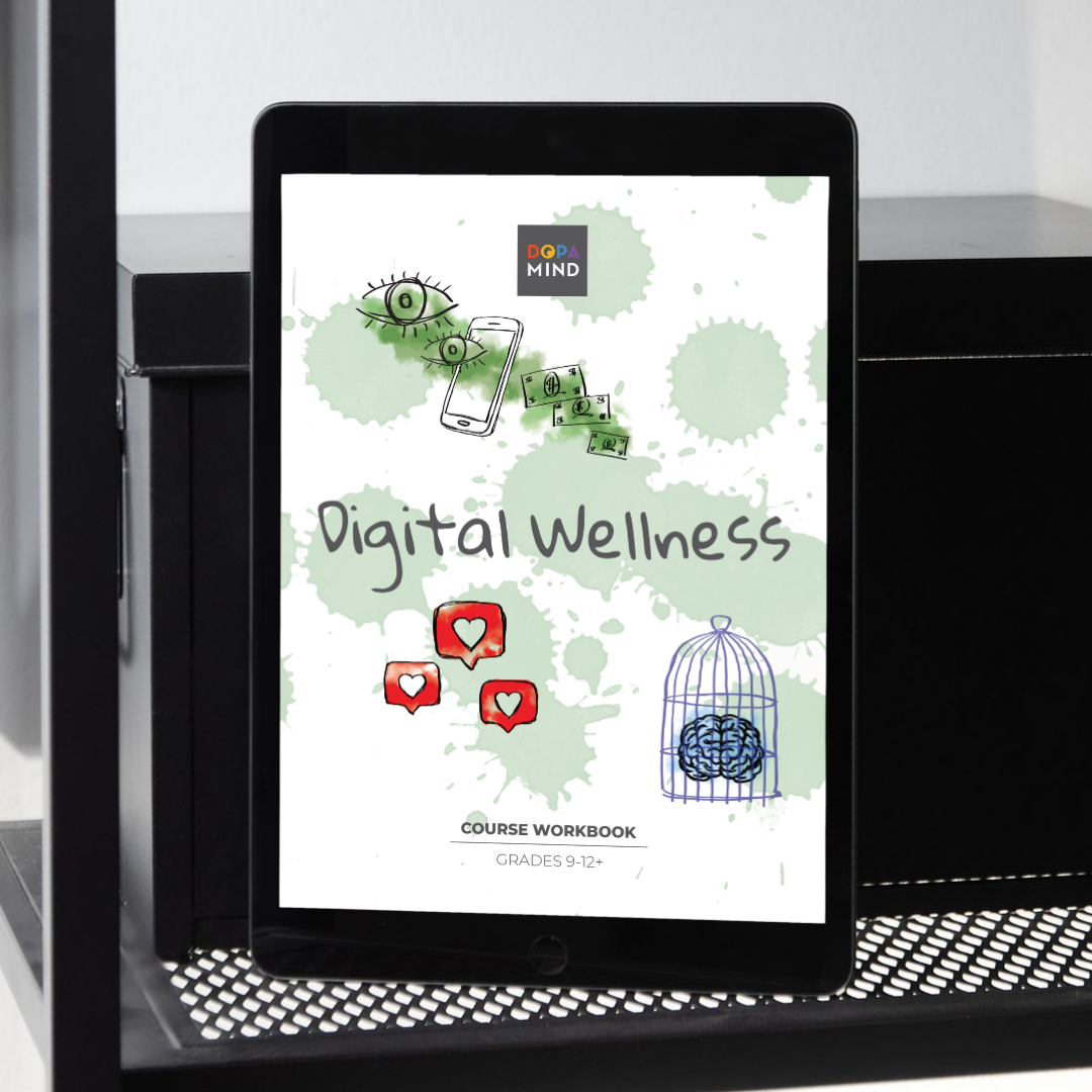 Digital Wellness Workbook for Grades 9-12+: School