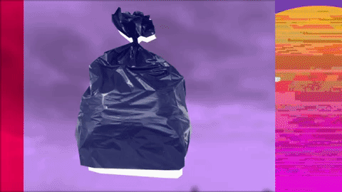 giphy+(4).gif