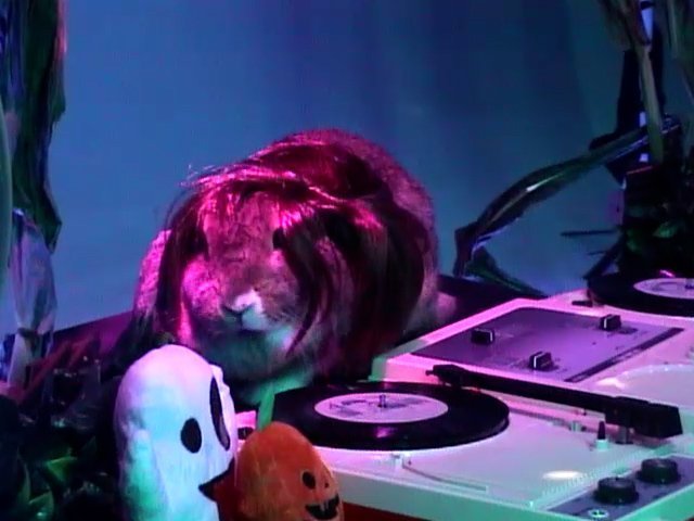 AmazonPets.00_00_03_24.Still010.jpg