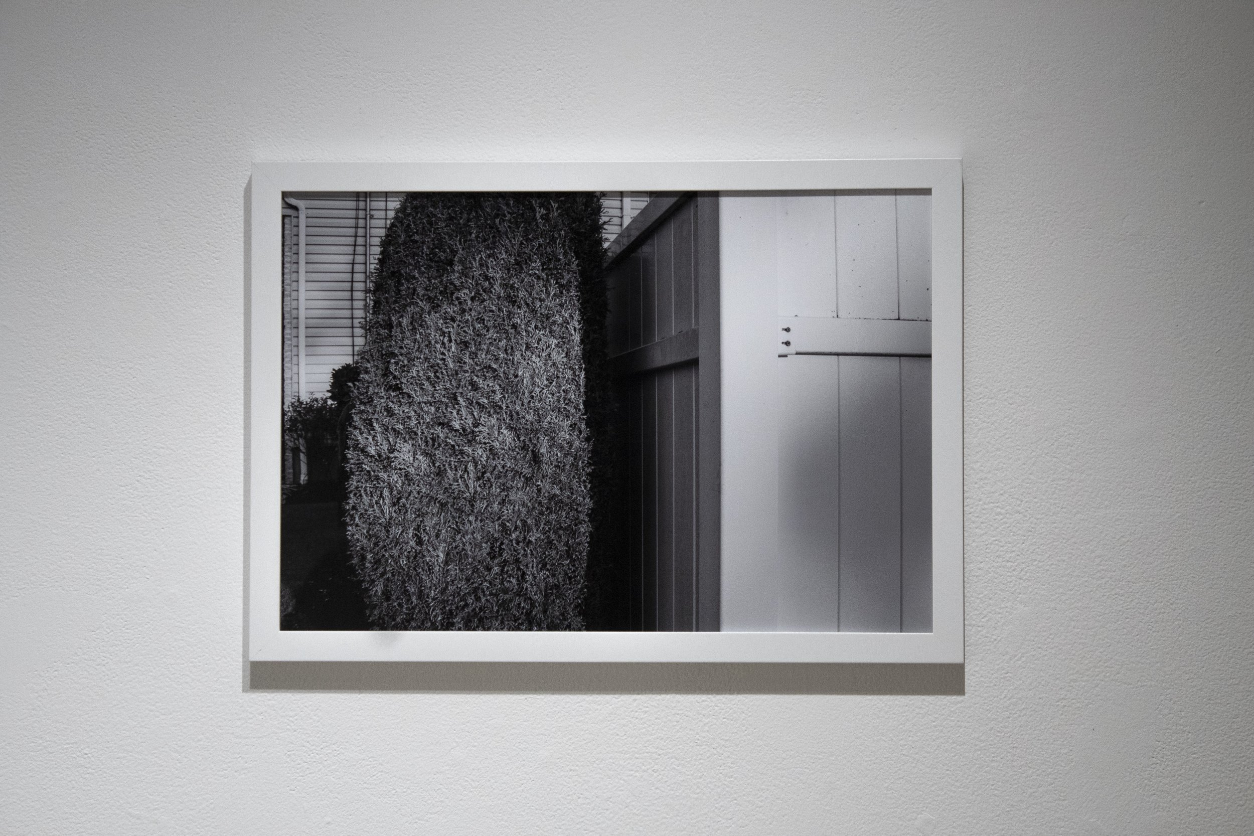 untitled-8.jpg