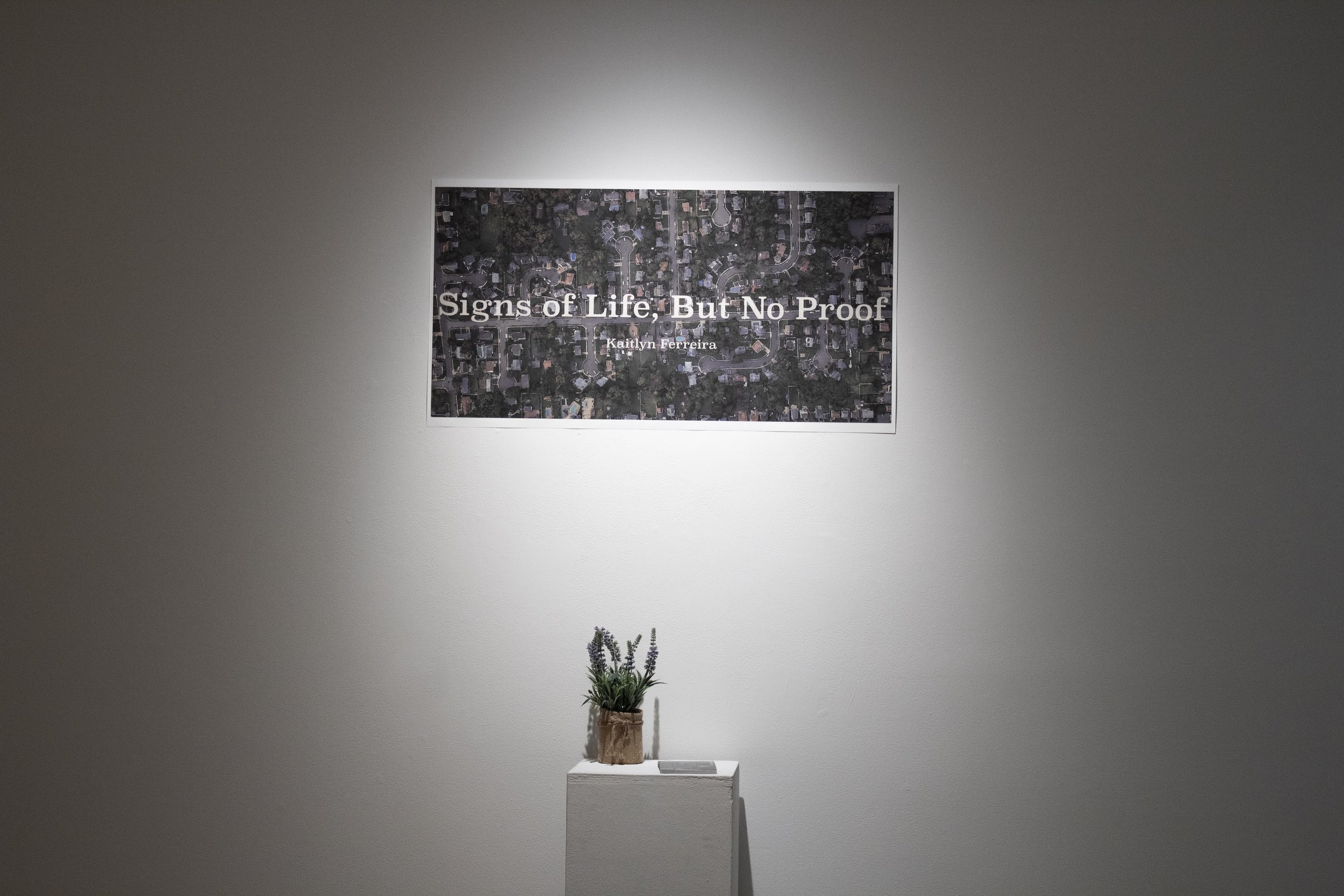 untitled-21.jpg