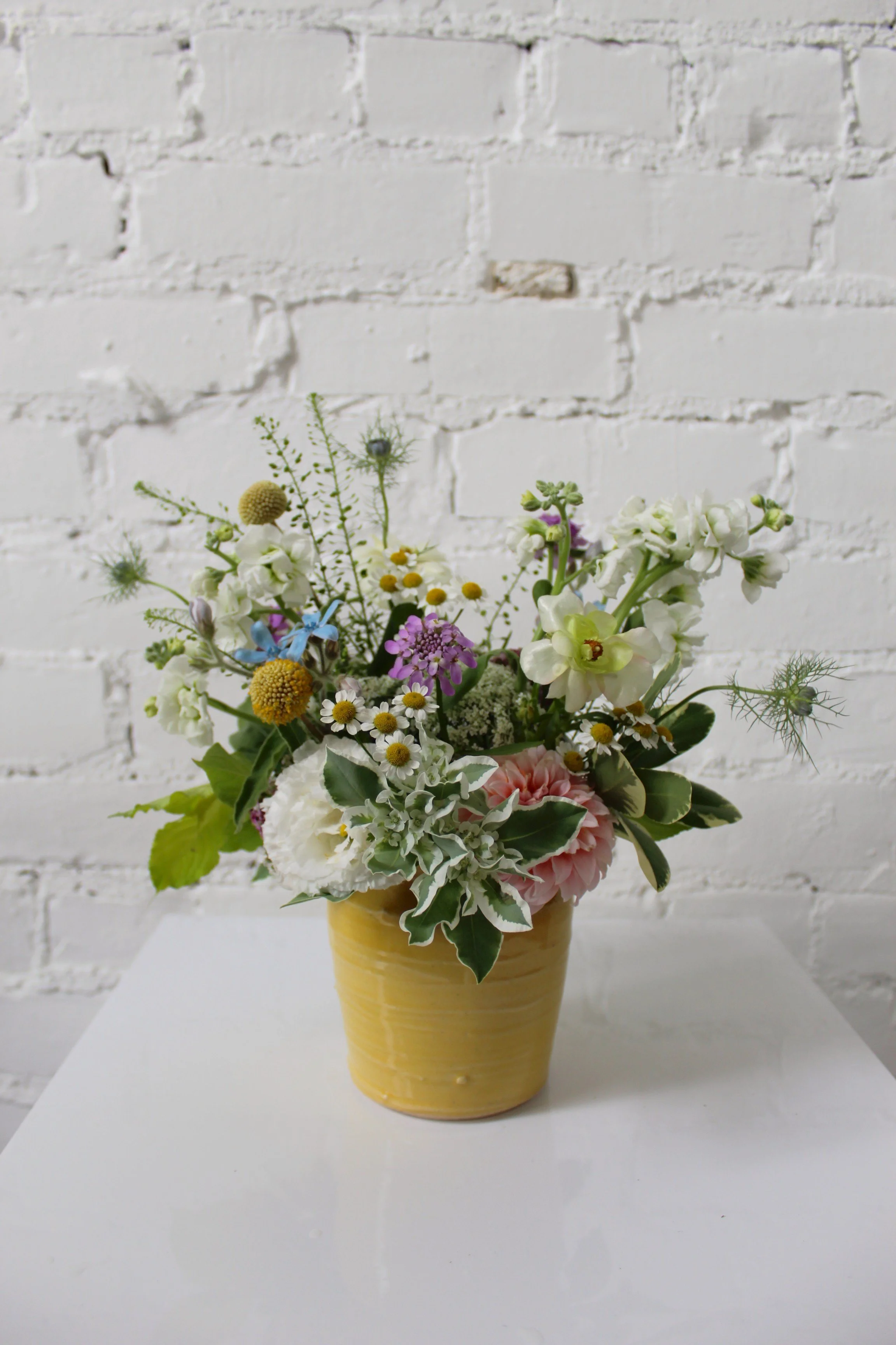 Baby Posy Pot