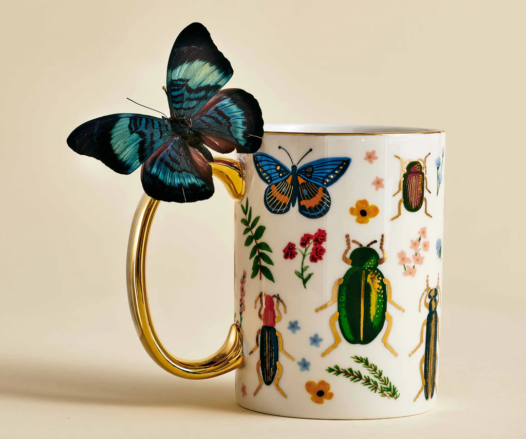 curio mug 1.png