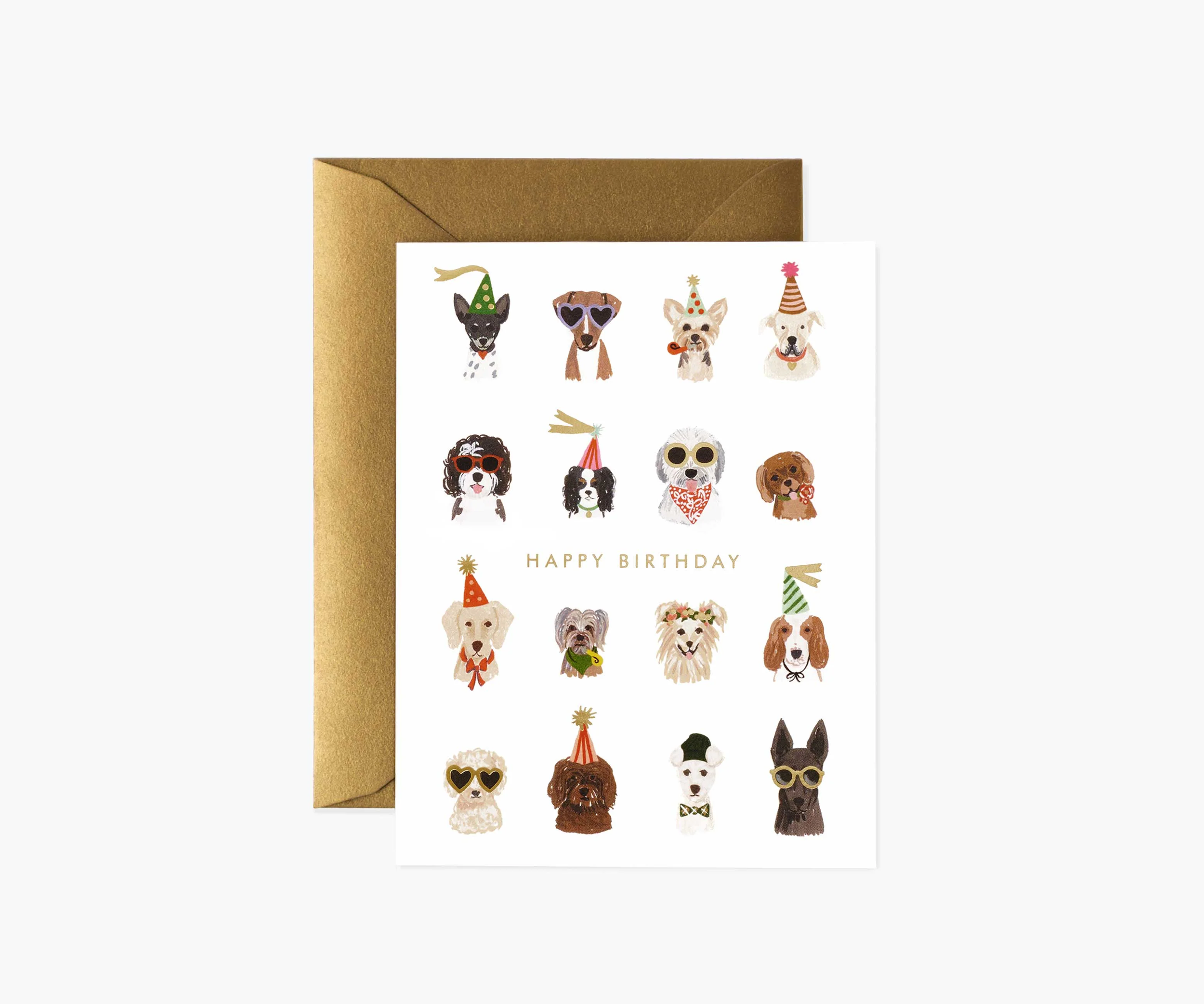 dog cards.png