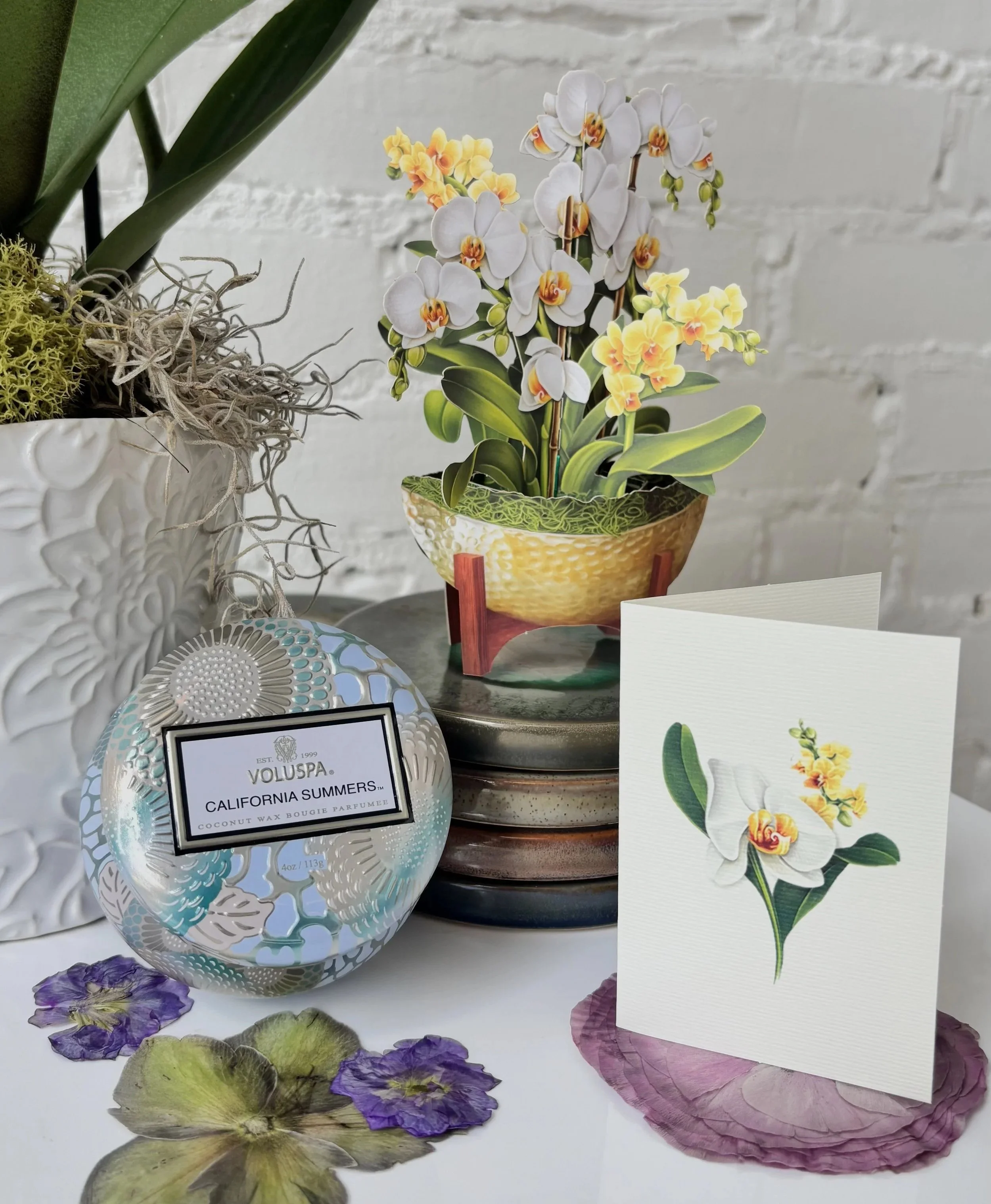 Mother's Day Orchid Bundle