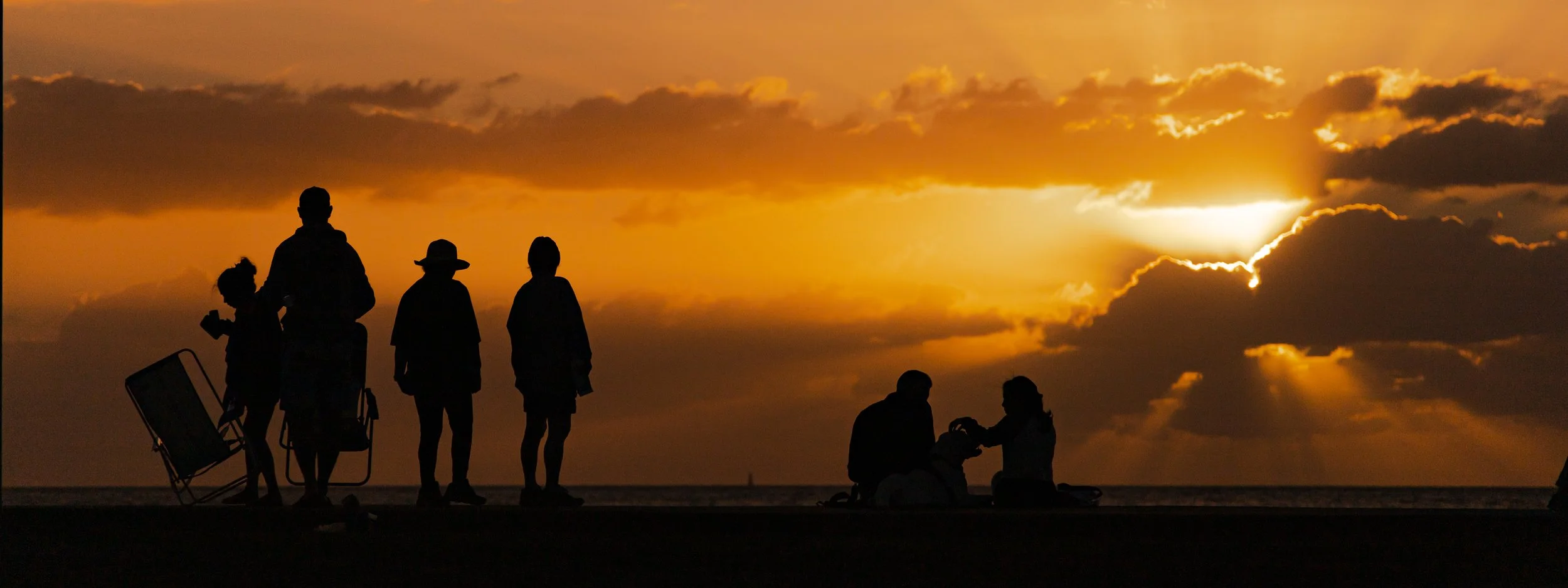 Couple with Dog and Family taking in the sunset-2.jpg