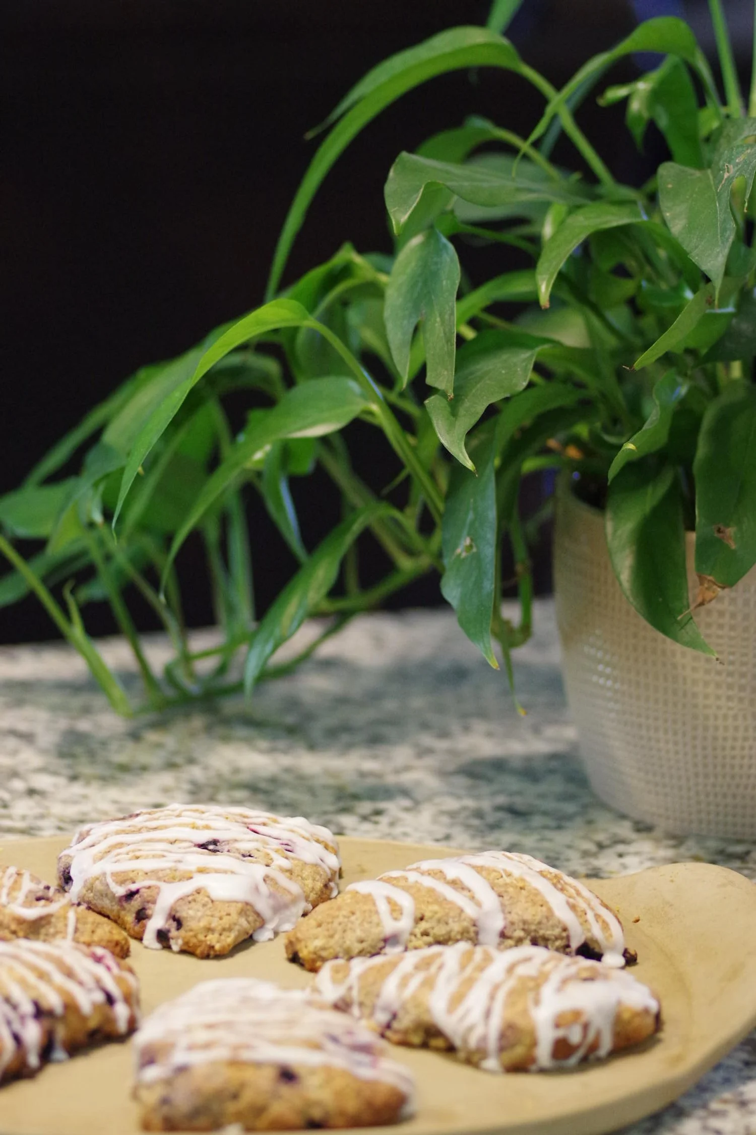 Glazed scones on a plate next to a green potted plant on a marble countertop.