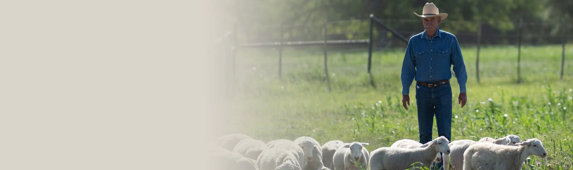 Advancing Markets for Producers