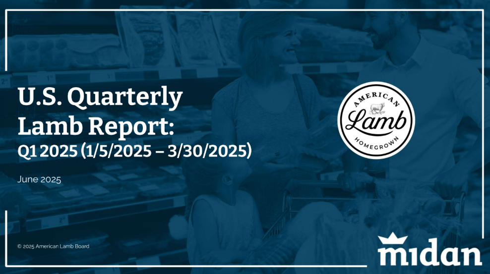 New Marketing Report Reveals Positive Insights Amidst Stagnant Q1 Growth