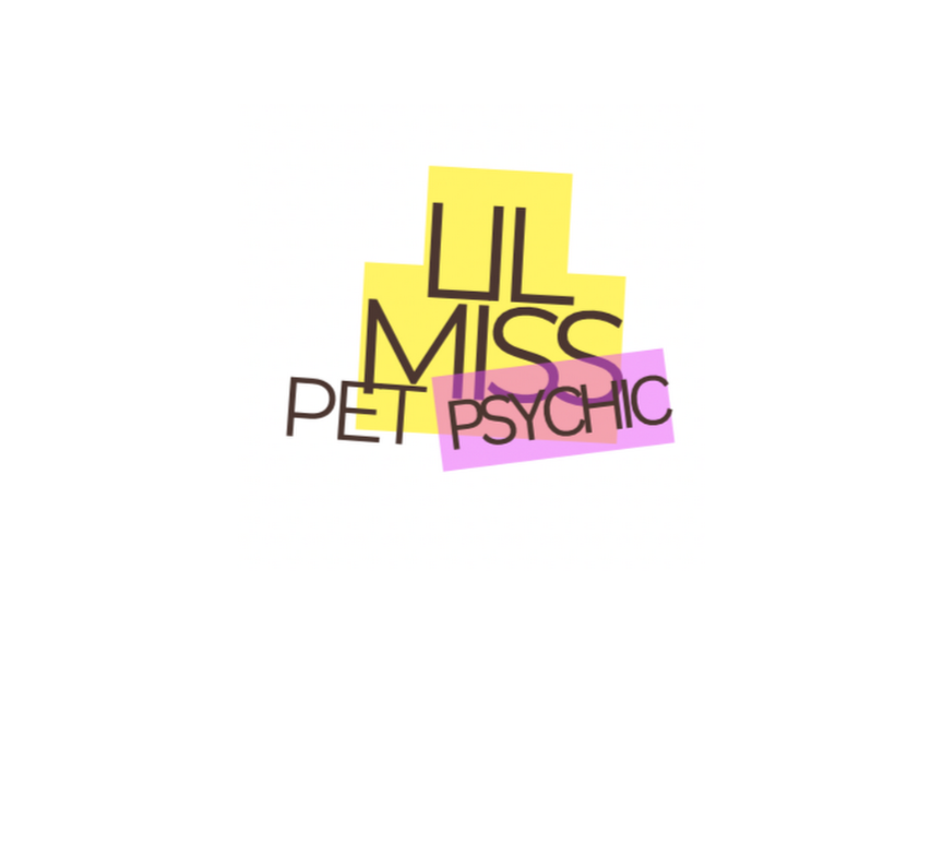 Lil Miss Pet Psychic