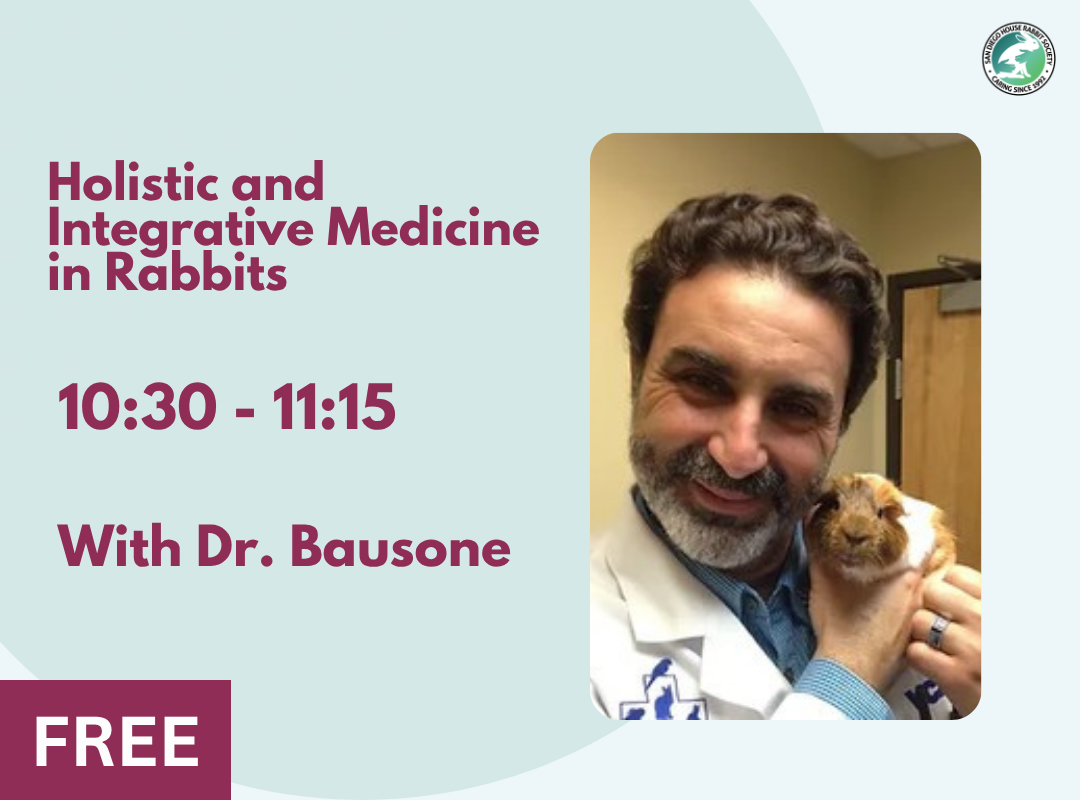 Holistic and Integrative Medicine in Rabbits