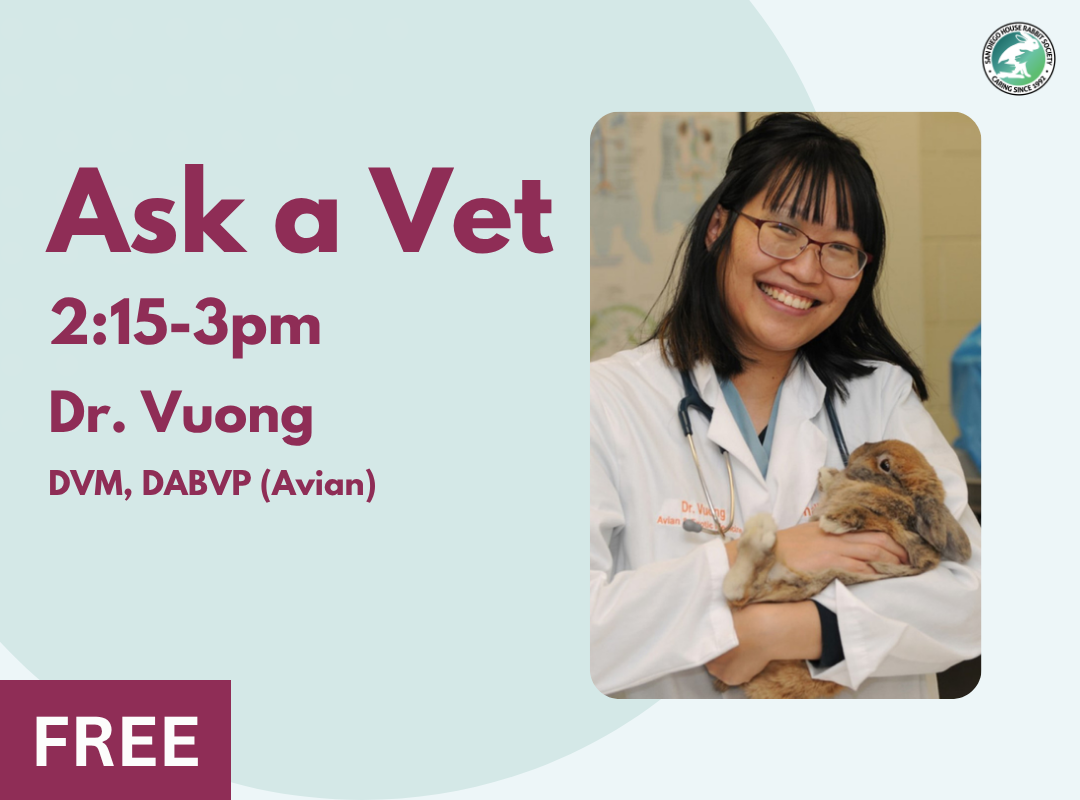 Ask A Vet with Dr. Vuong 