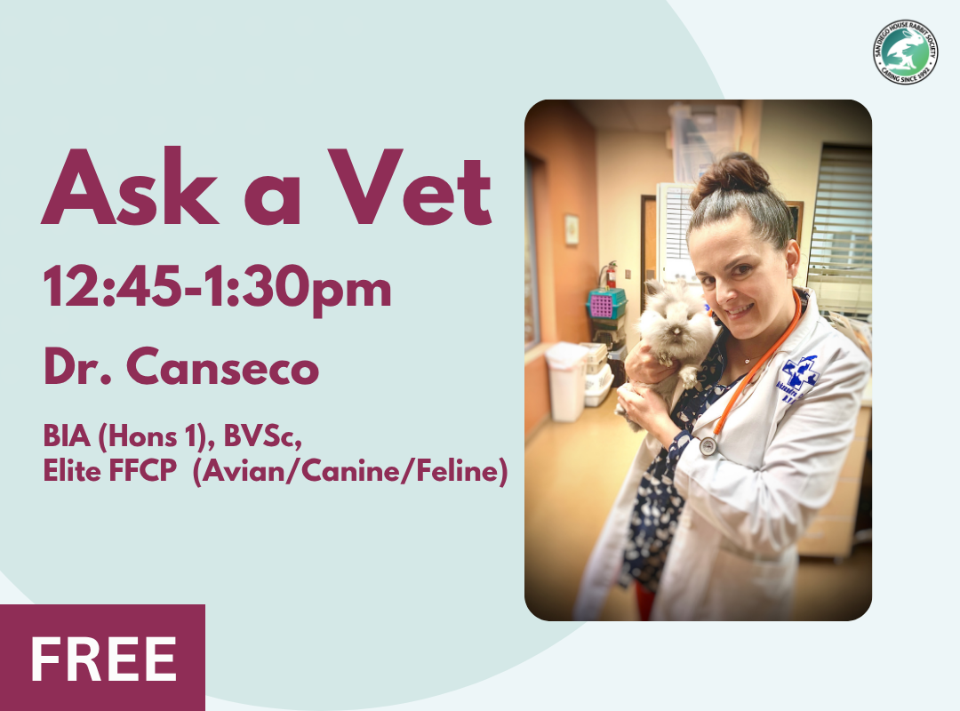 Ask A Vet with Dr. Canseco