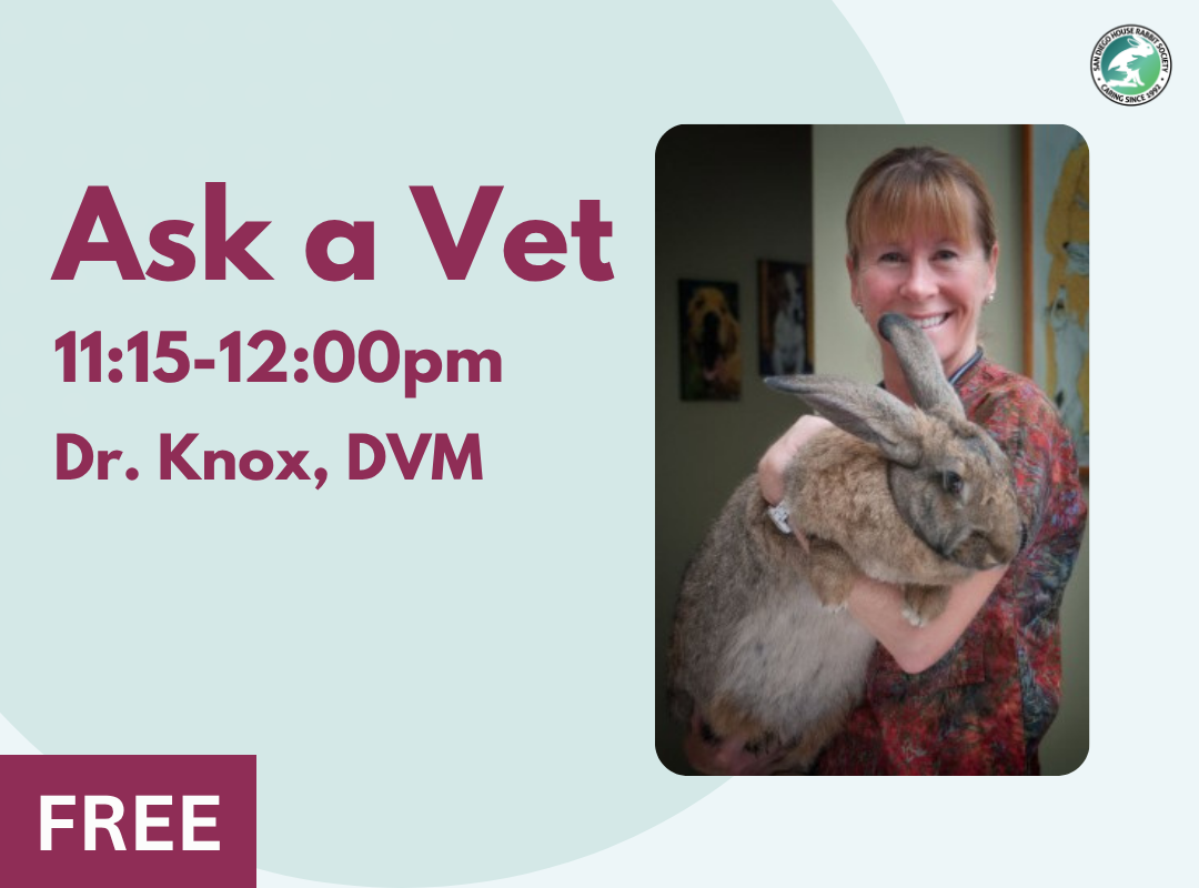 Ask A Vet with Dr. Knox