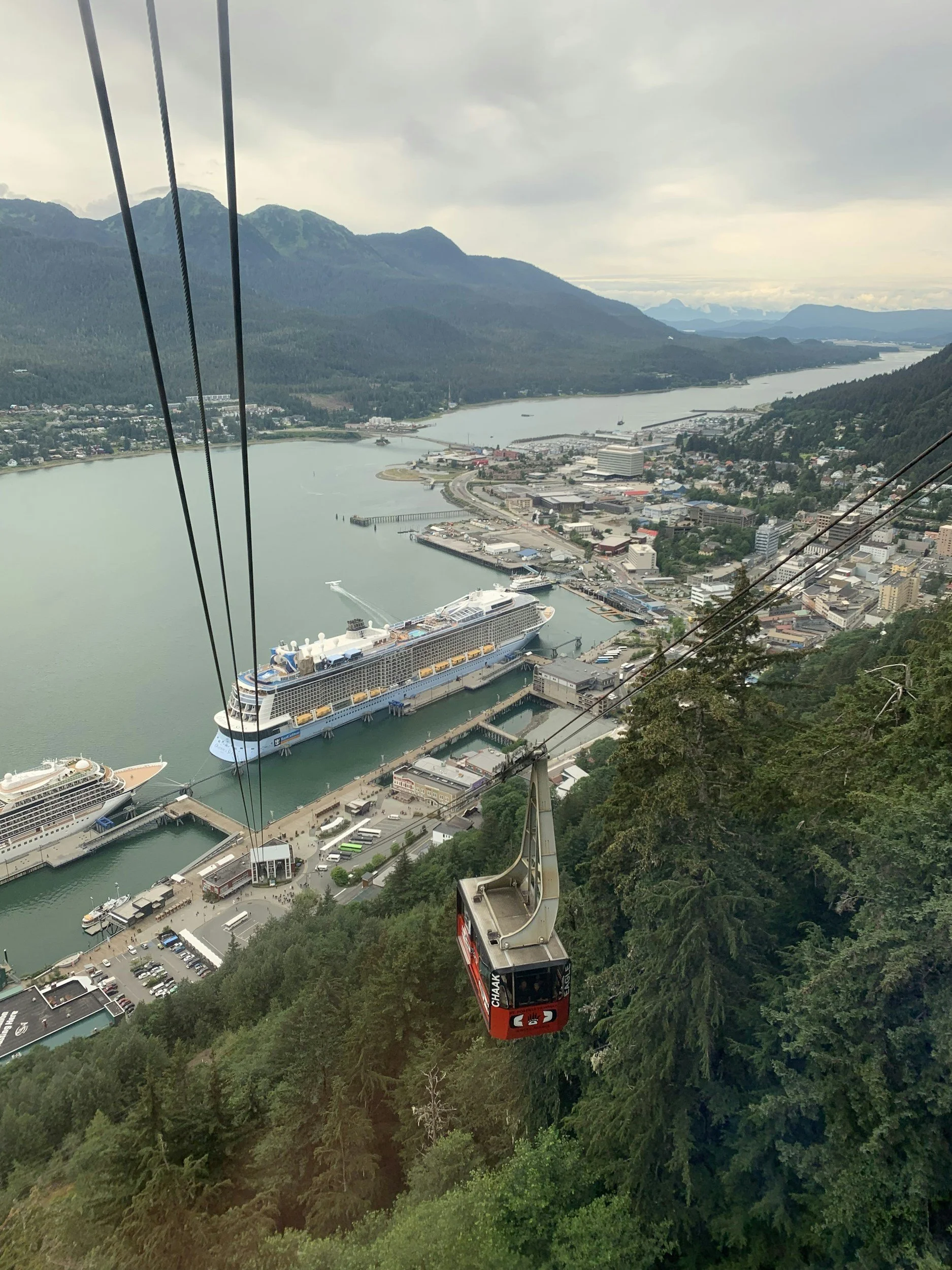 Red cable car descending over a forested hillside with a view of a town, a river, mountains, and cloudy sky in the background.