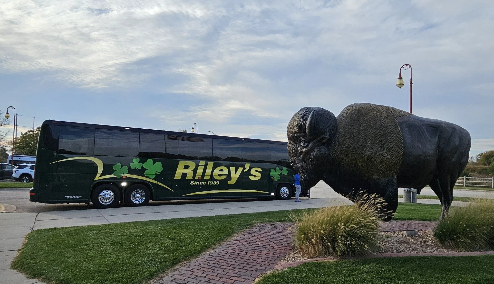 A large black tour bus with green shamrock designs and the text "Riley's Since 1939" parked next to a giant buffalo statue, with a sidewalk, grass, and street lamps in the background.