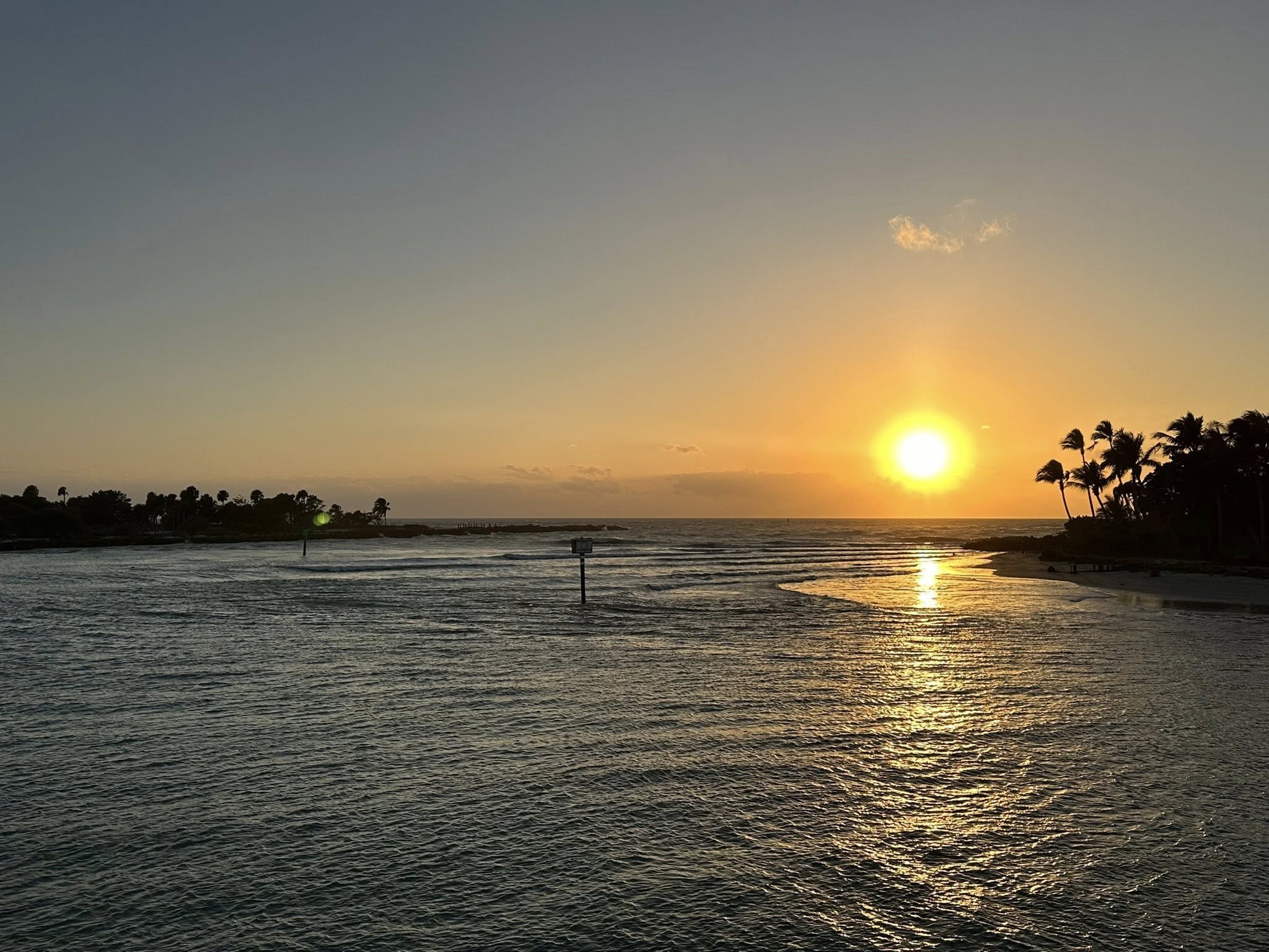 Sunset over the ocean with a small cloud and silhouetted palm trees along the shoreline.