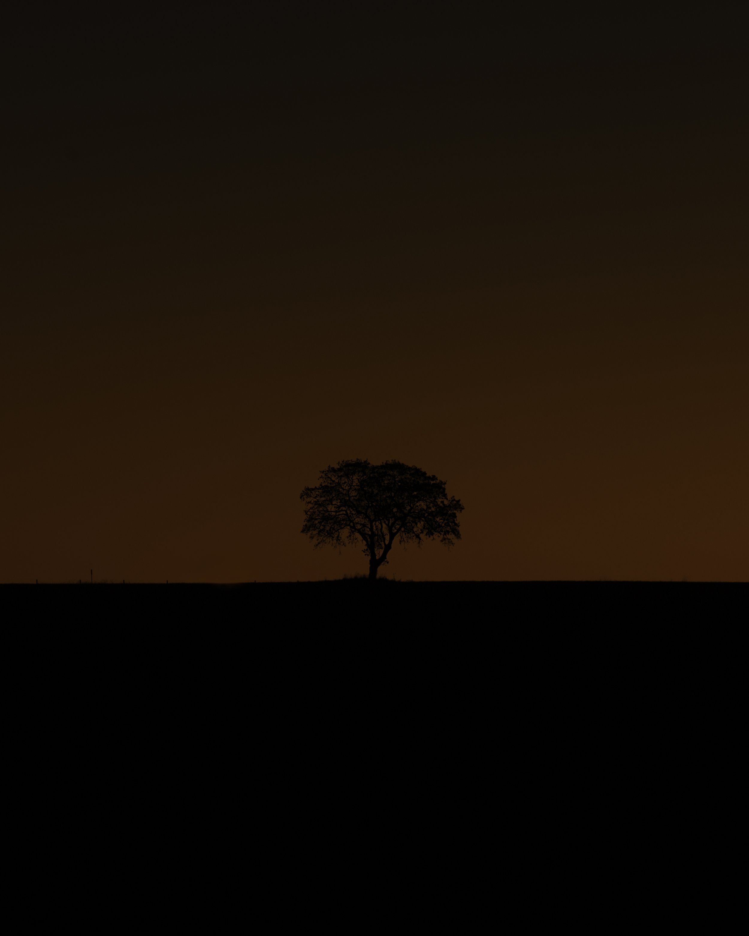 A very minimal image of a lone tree perched on a hill at Dusk
